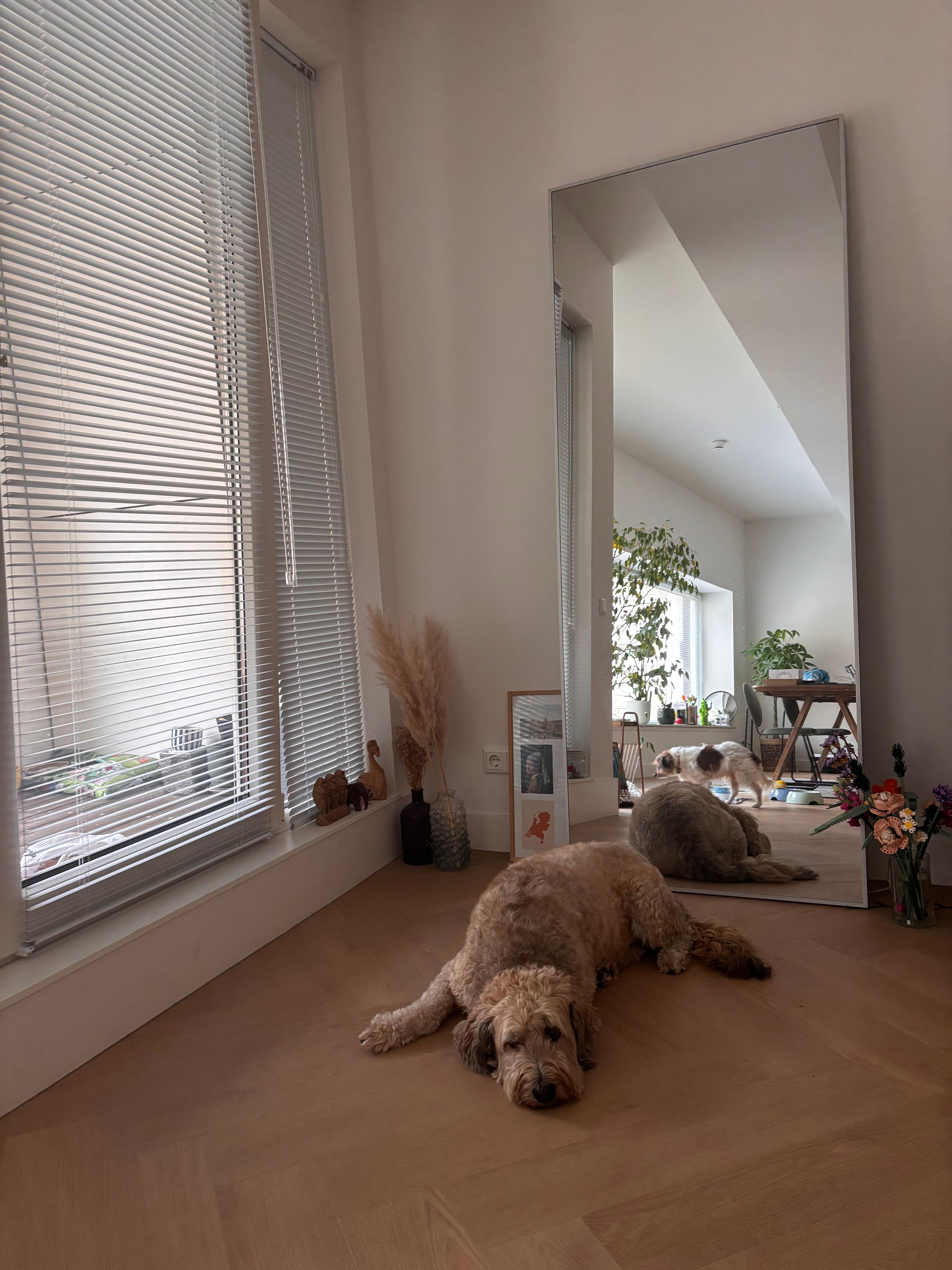 image-19
