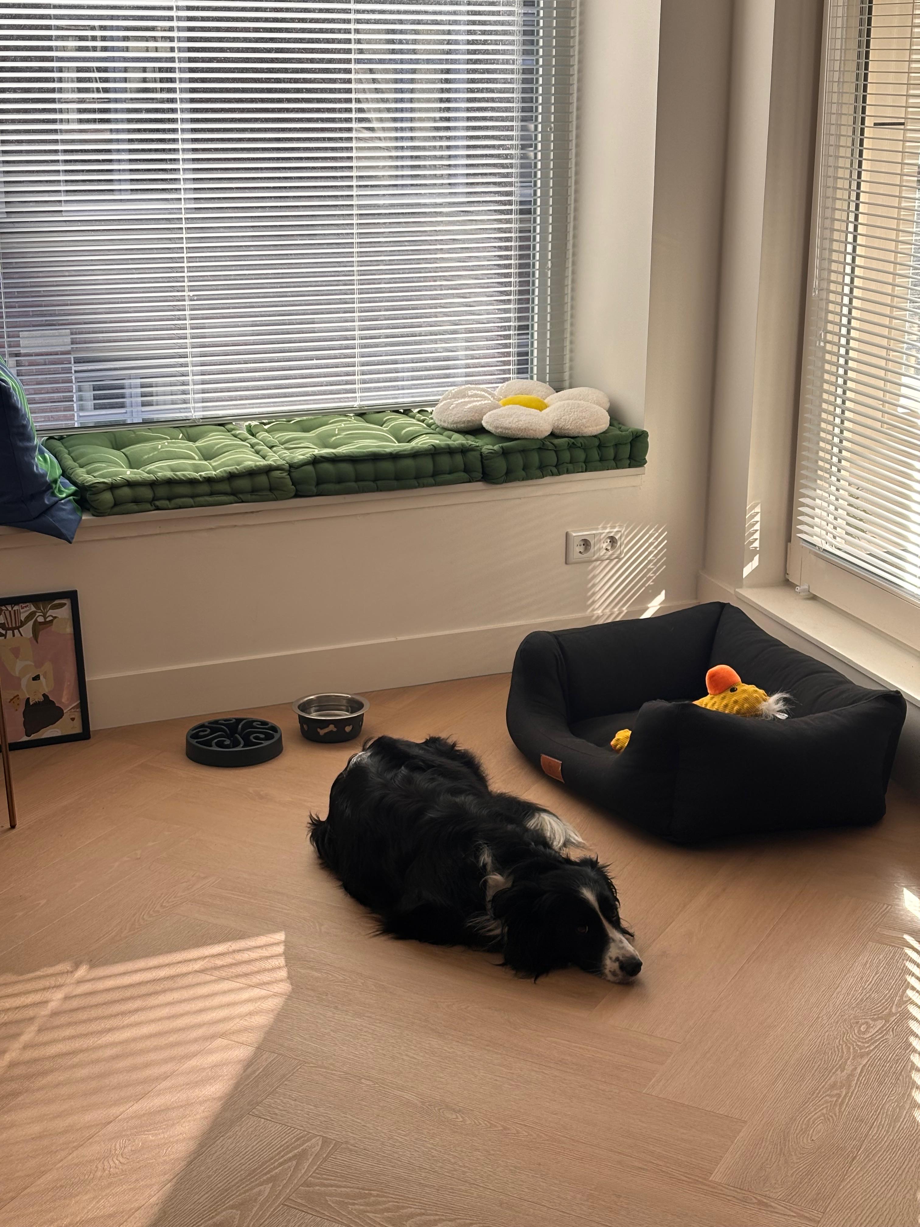 image-17