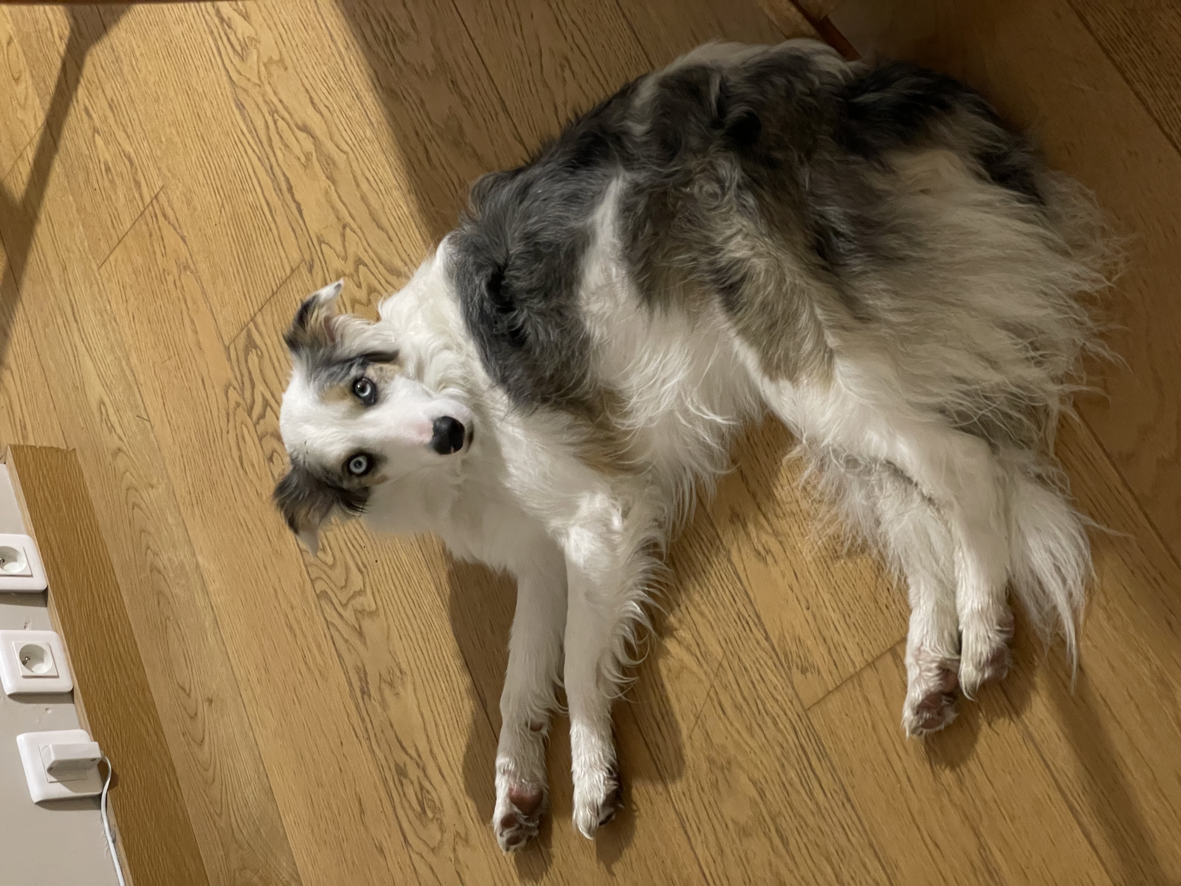 image-9