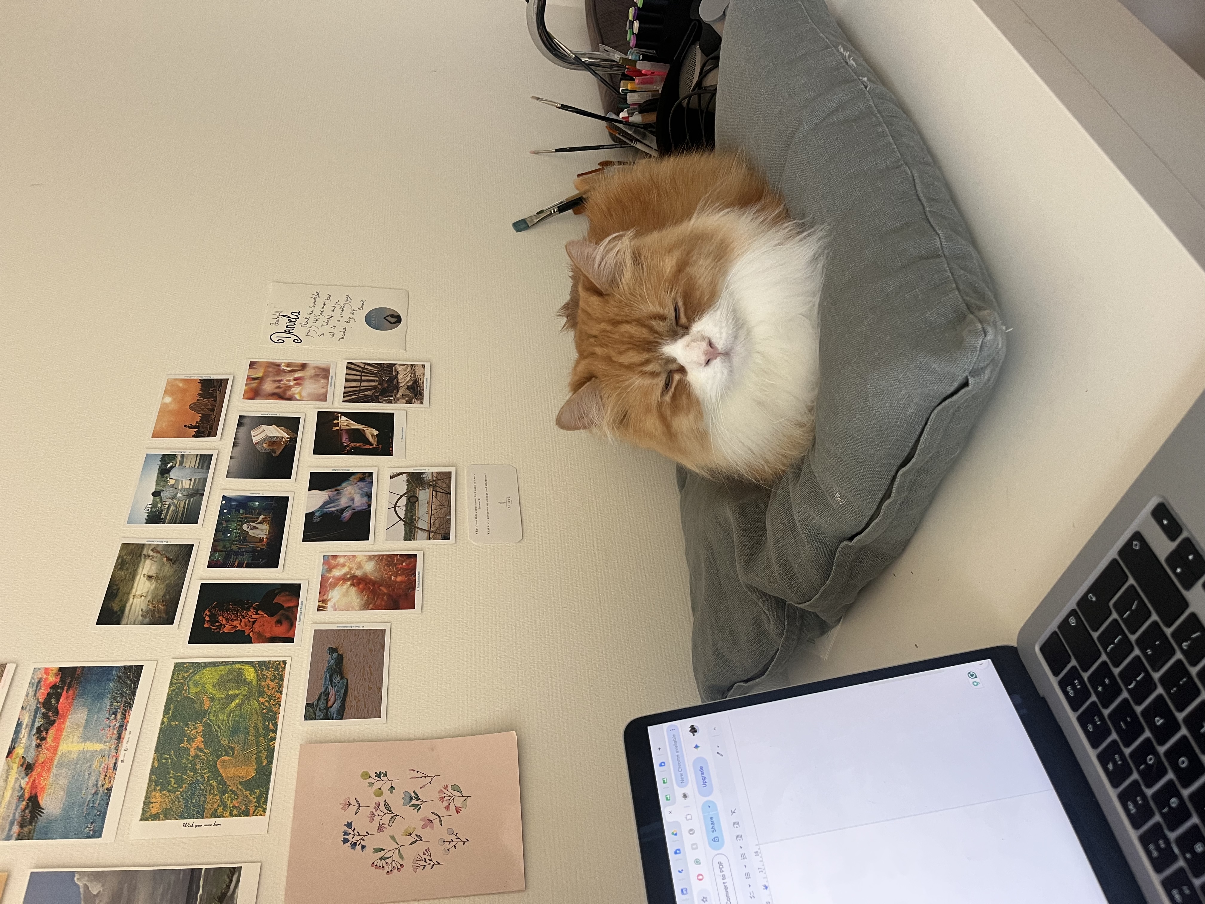 image-12