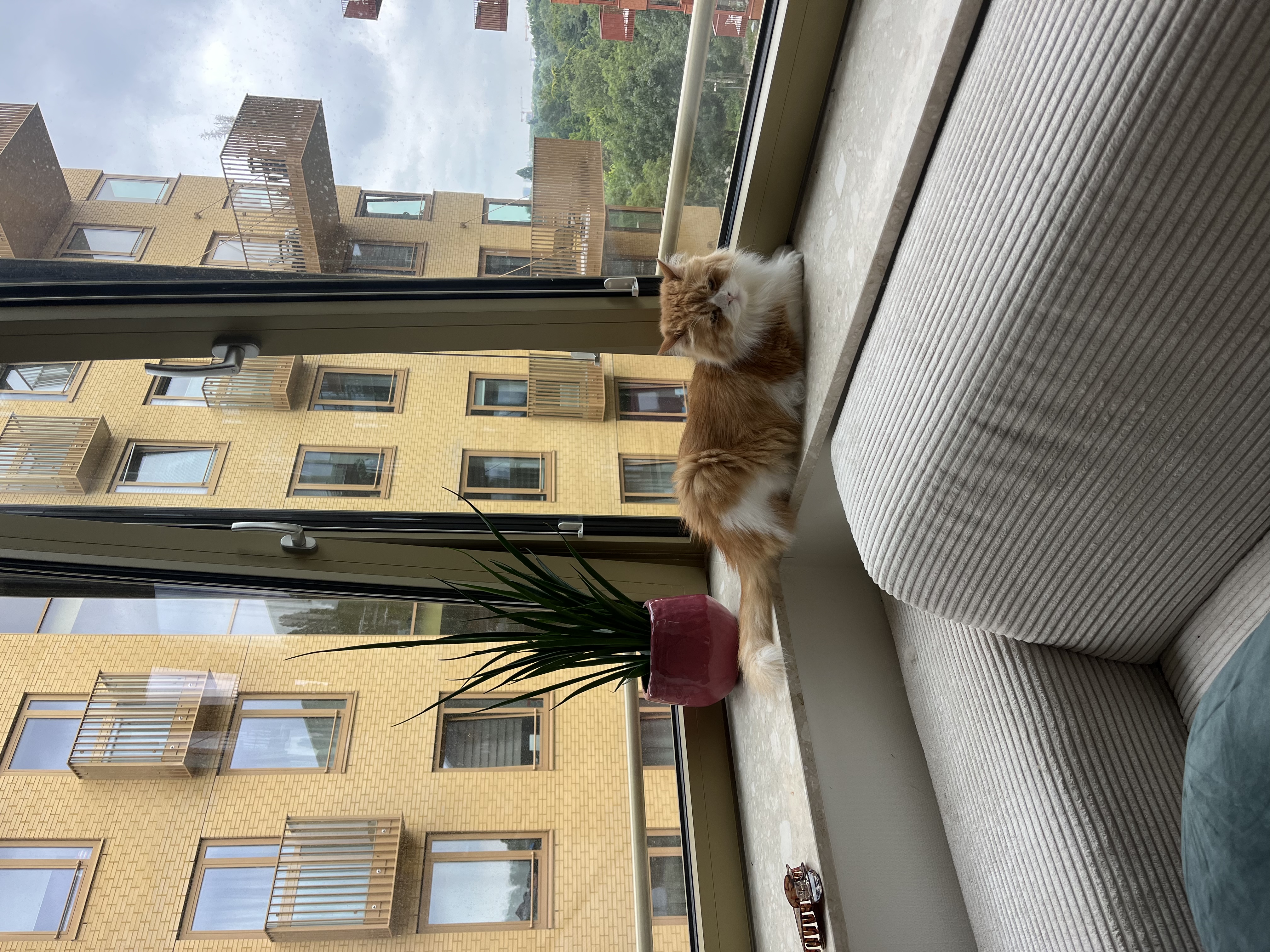 image-13
