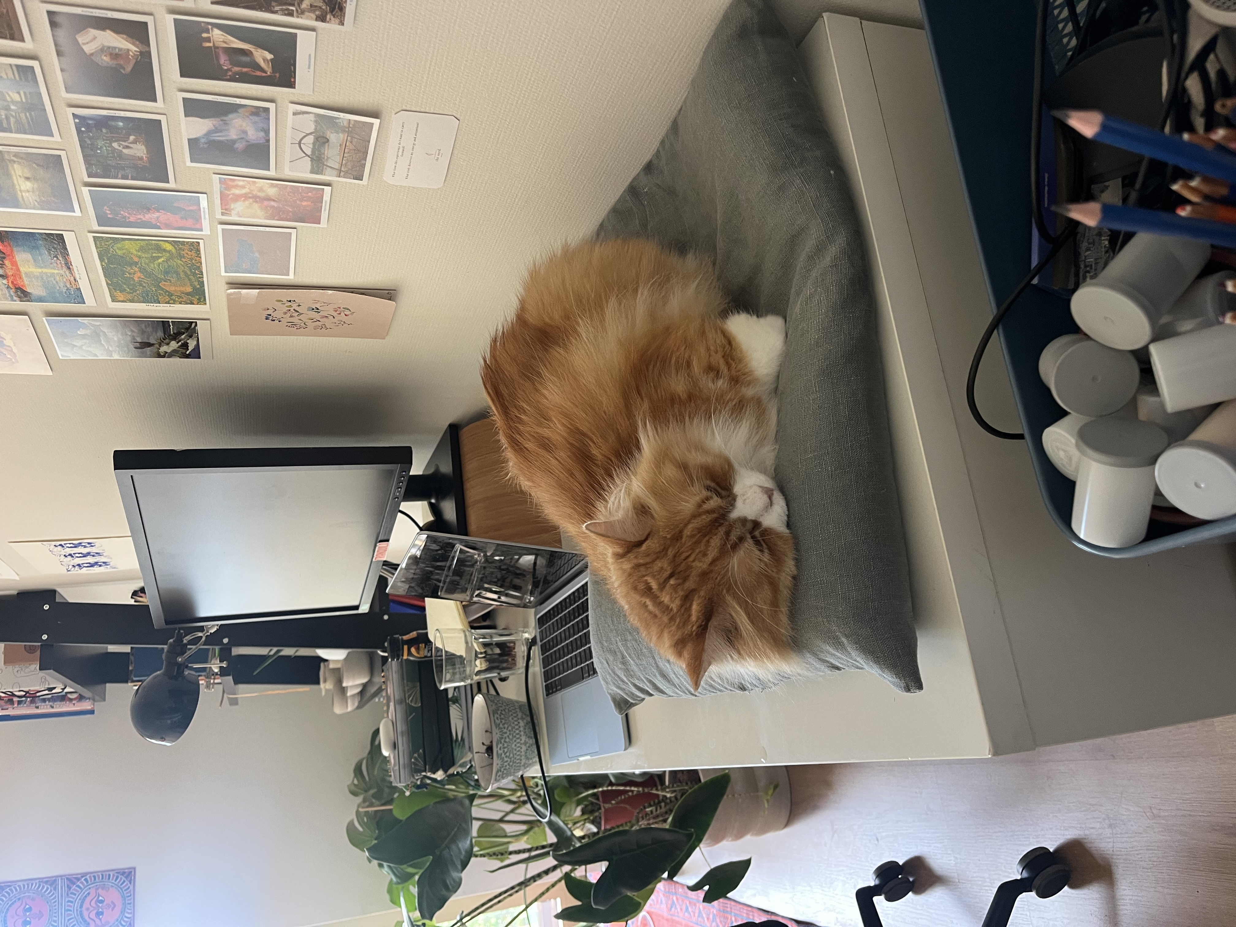 image-10