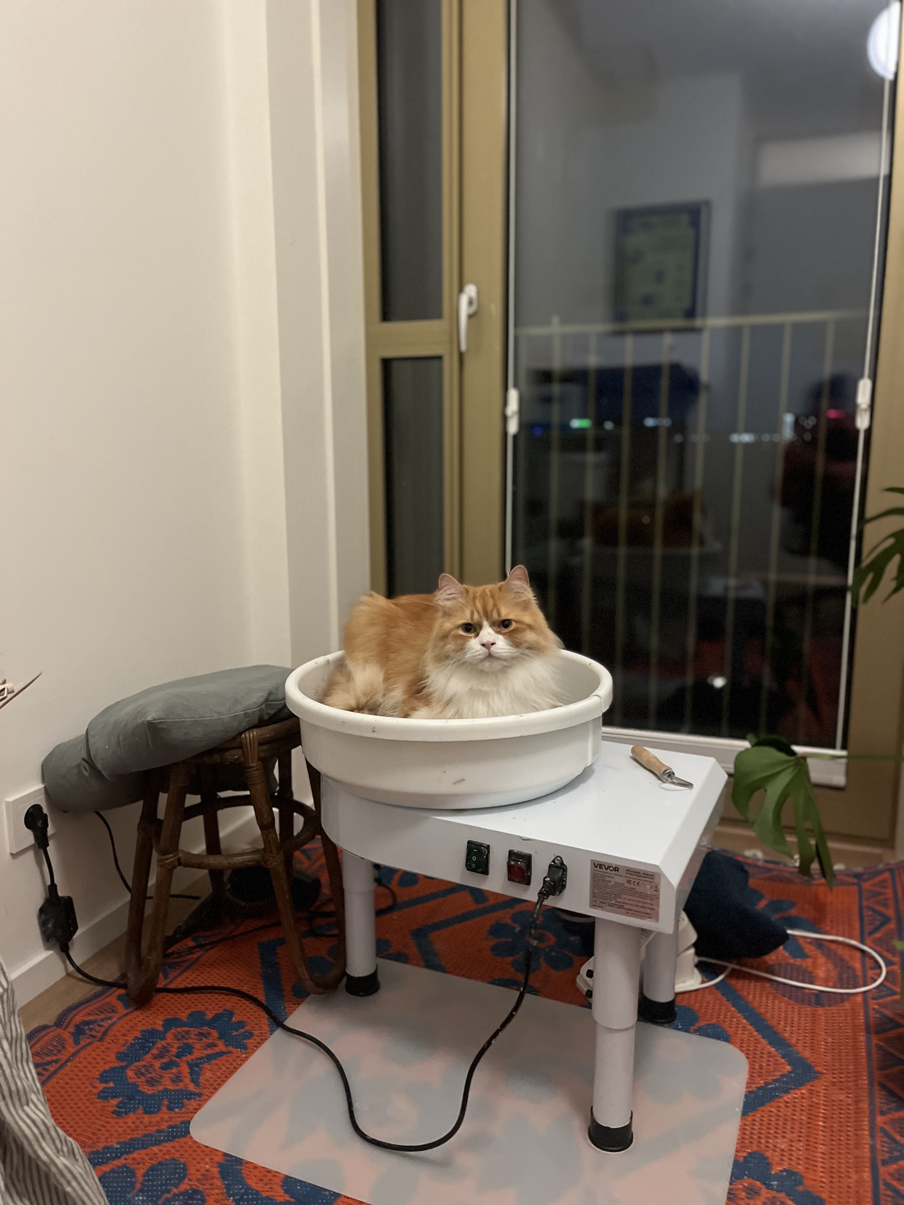 image-14