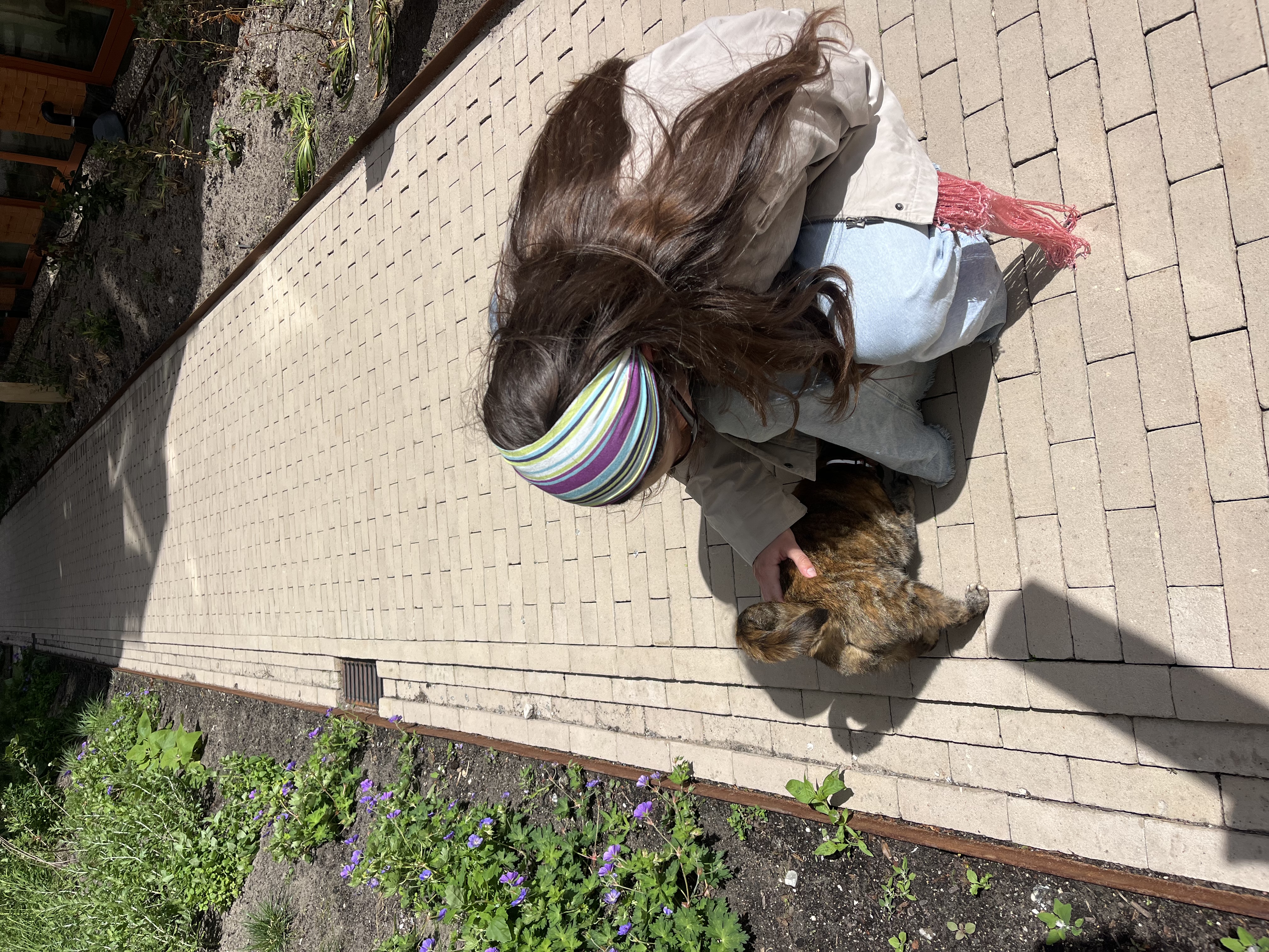 image-6