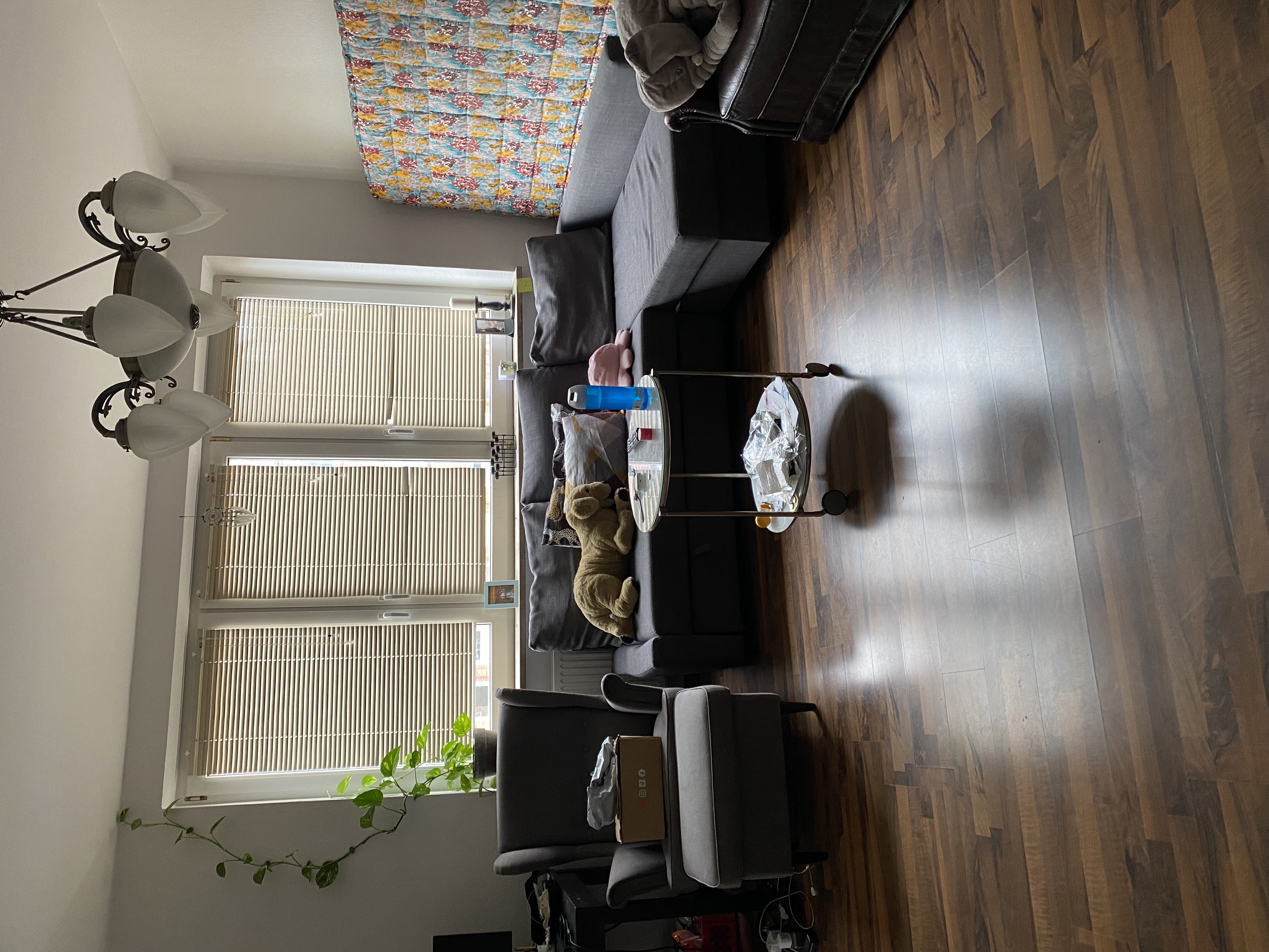 image-15