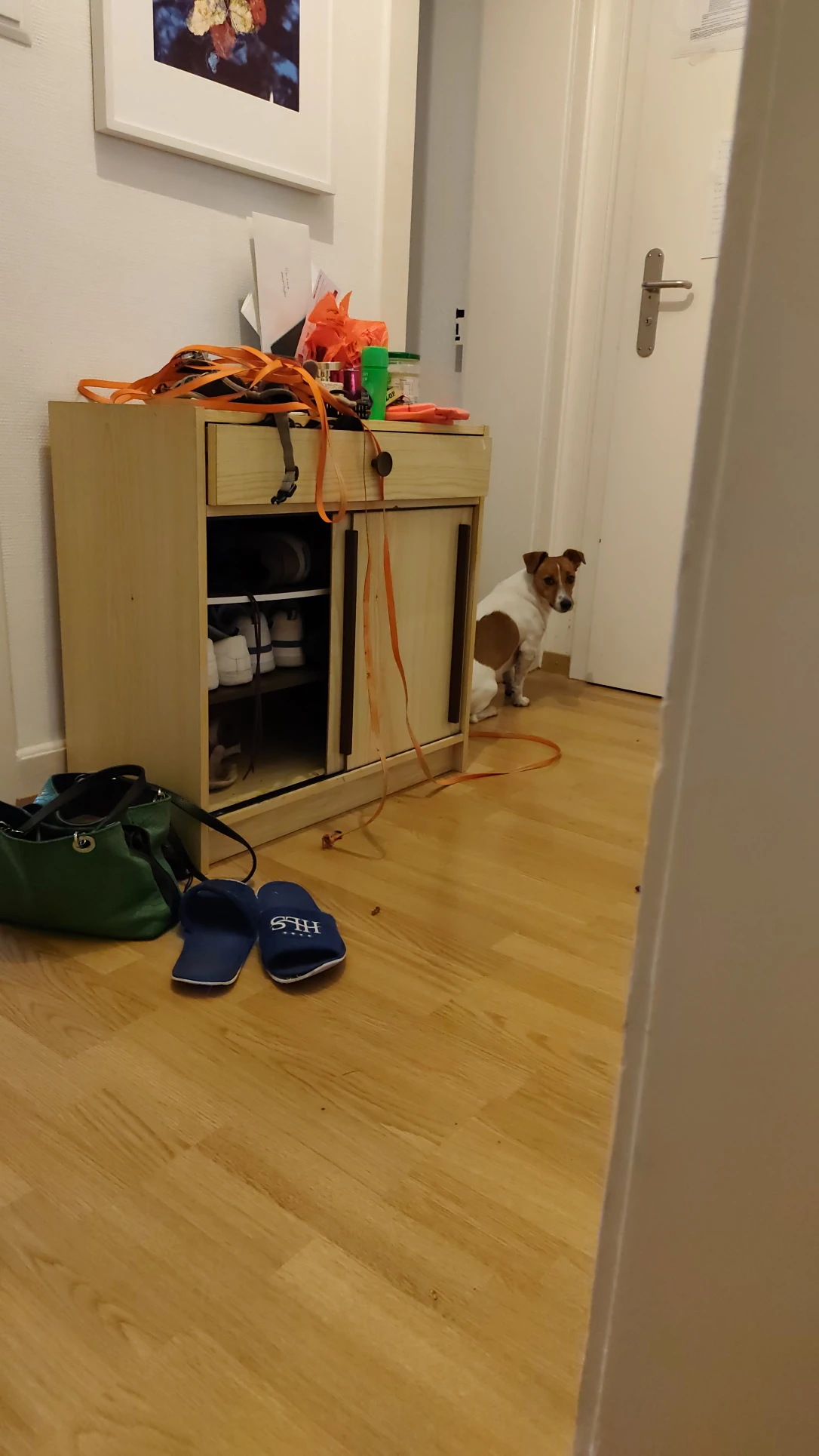 image-15