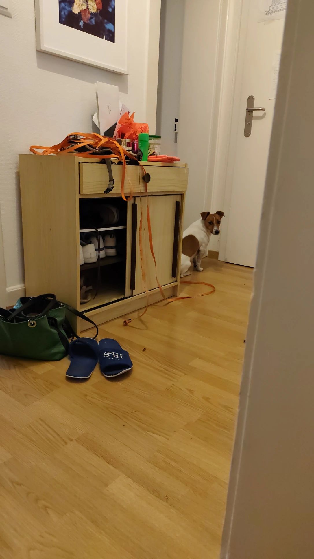 image-15