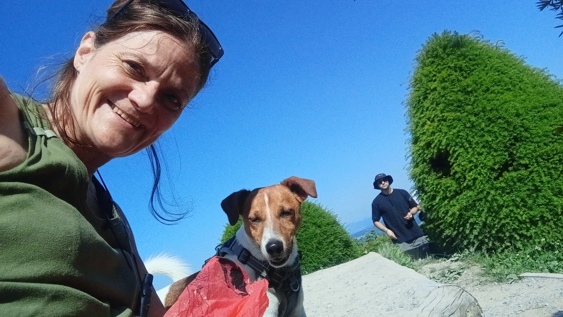 image-6