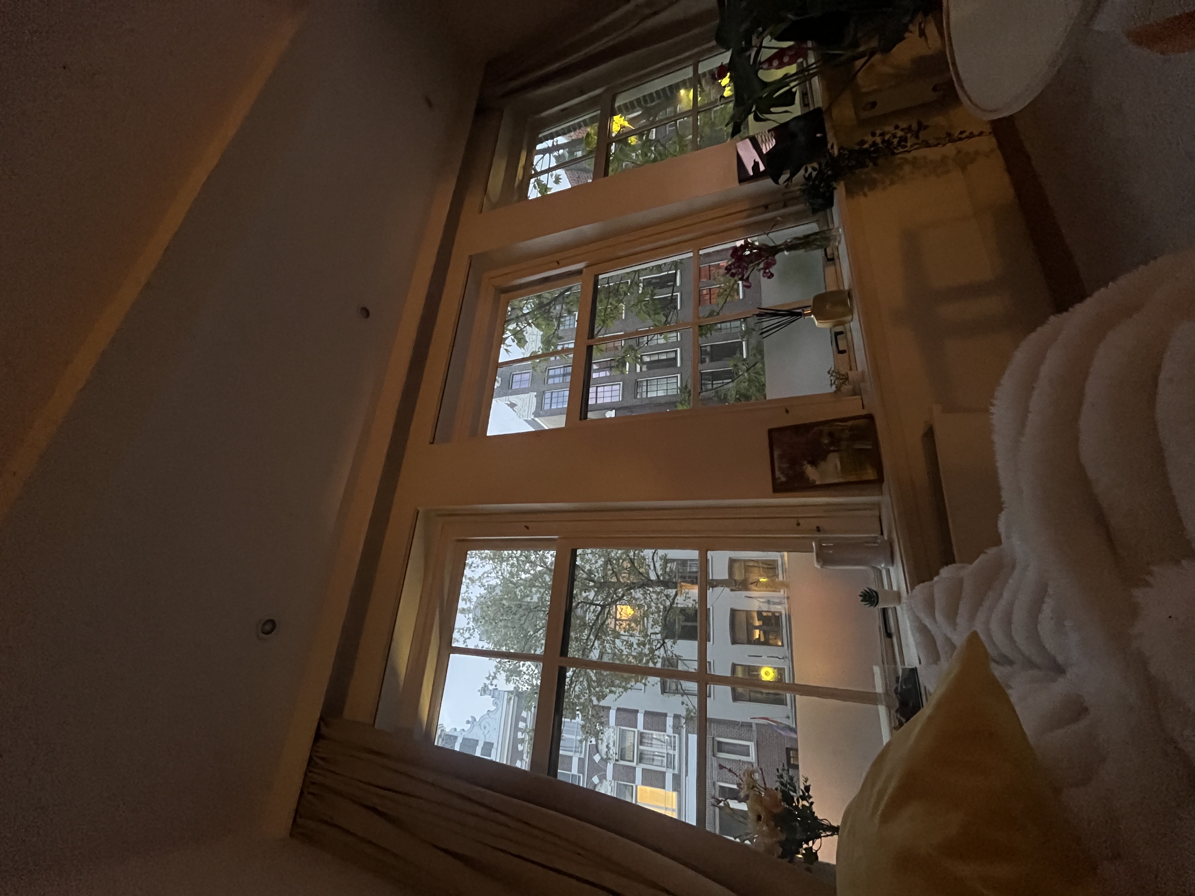 image-9