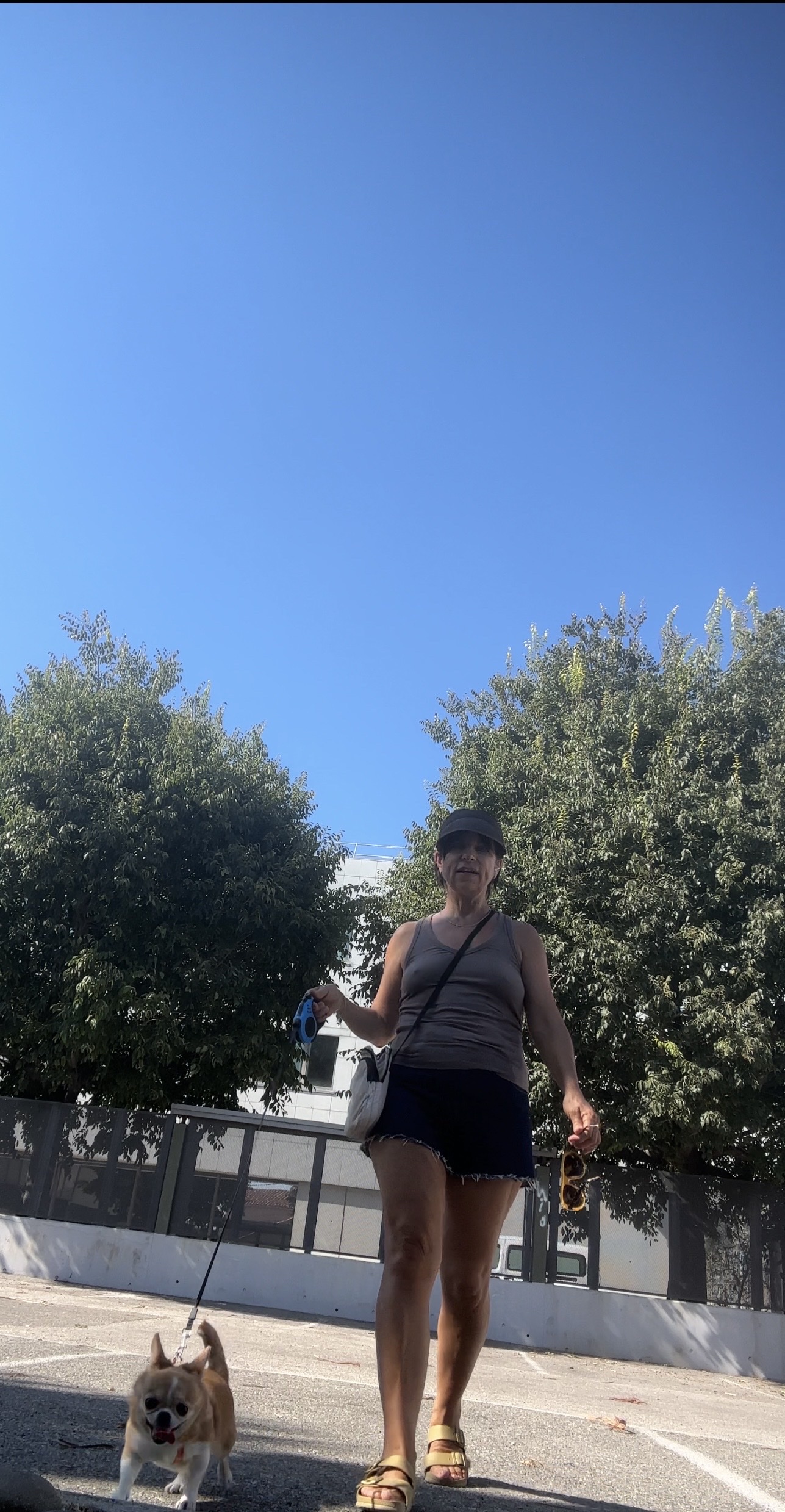 image-4