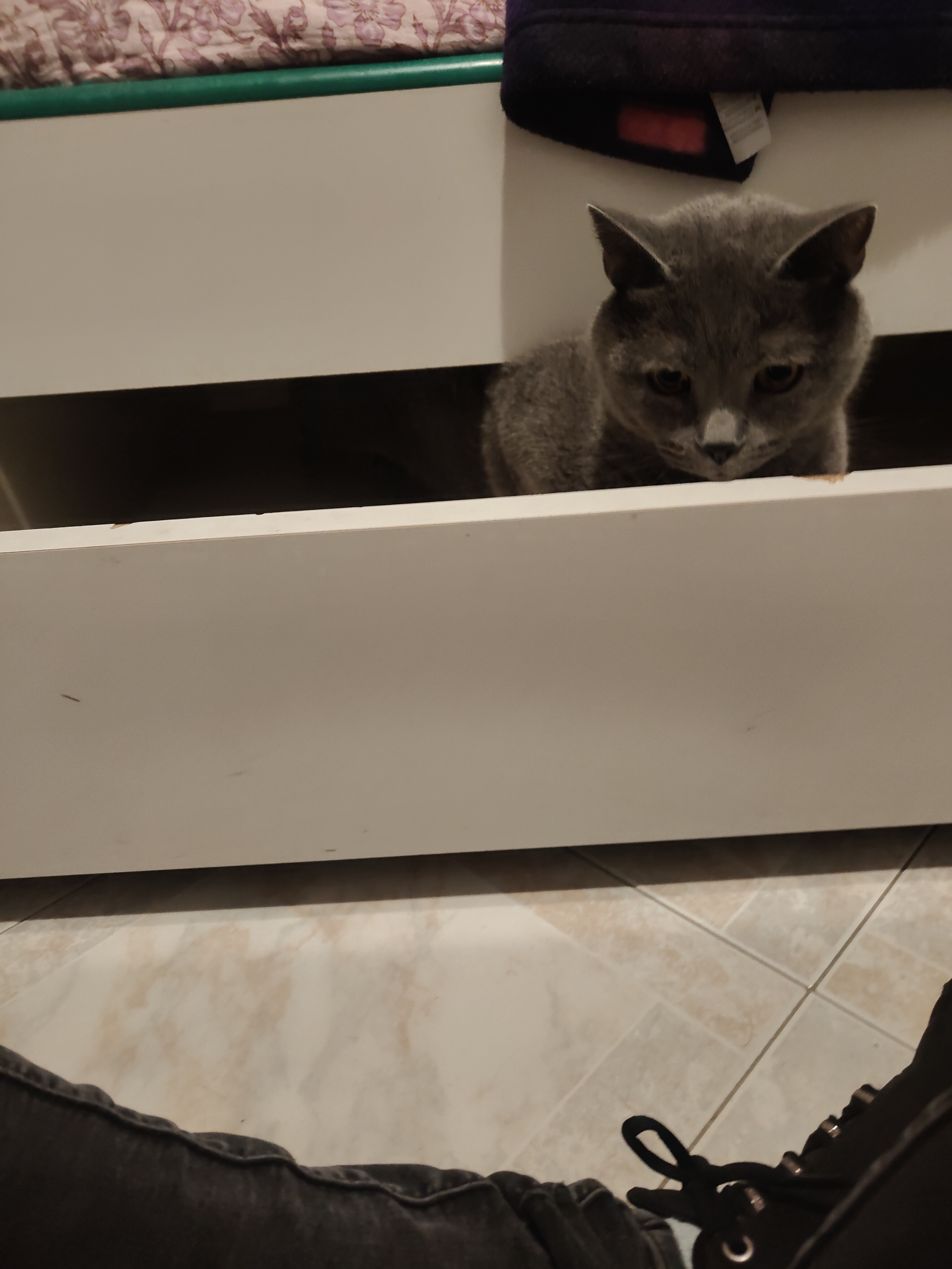 image-6