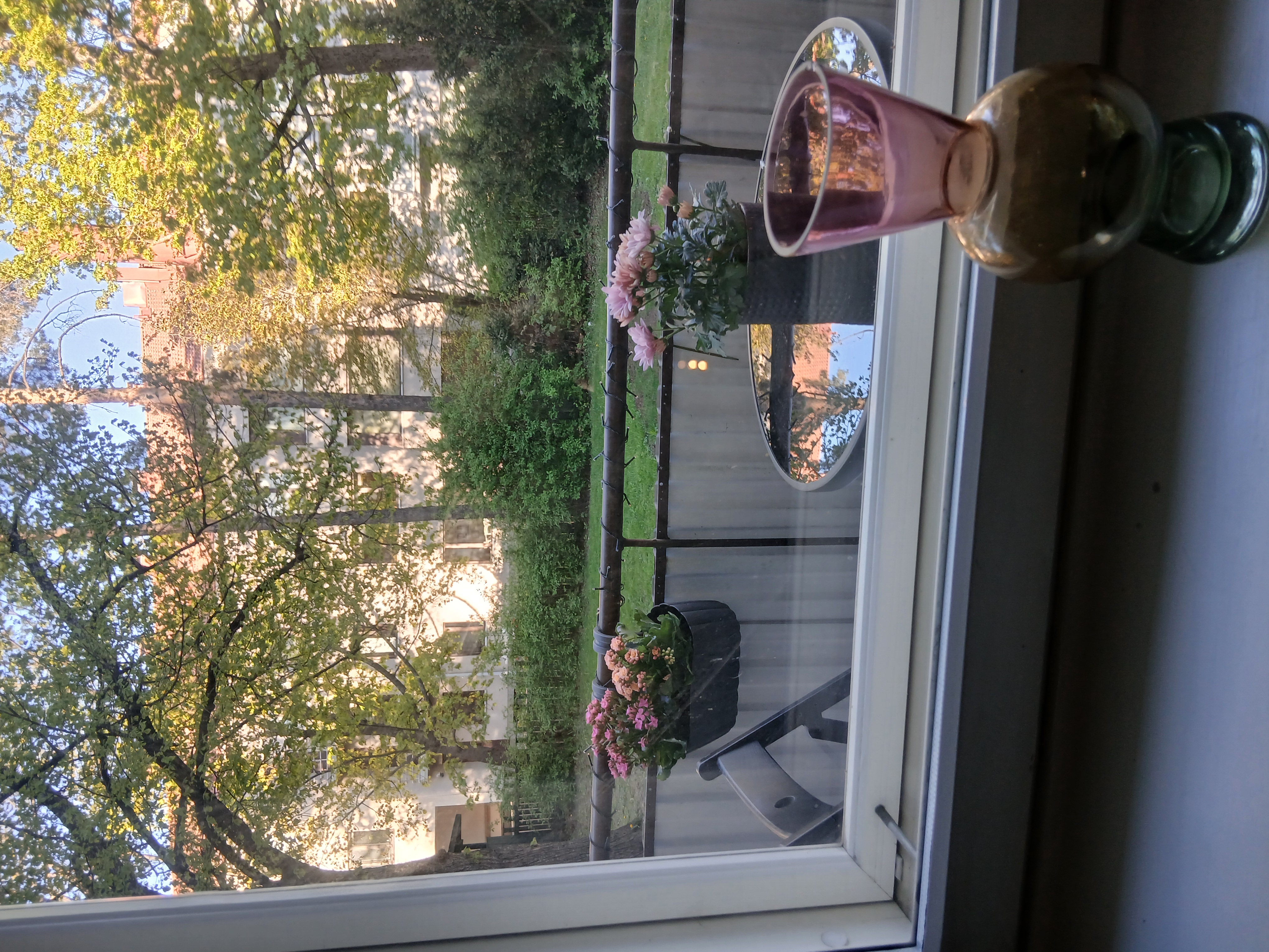 image-17