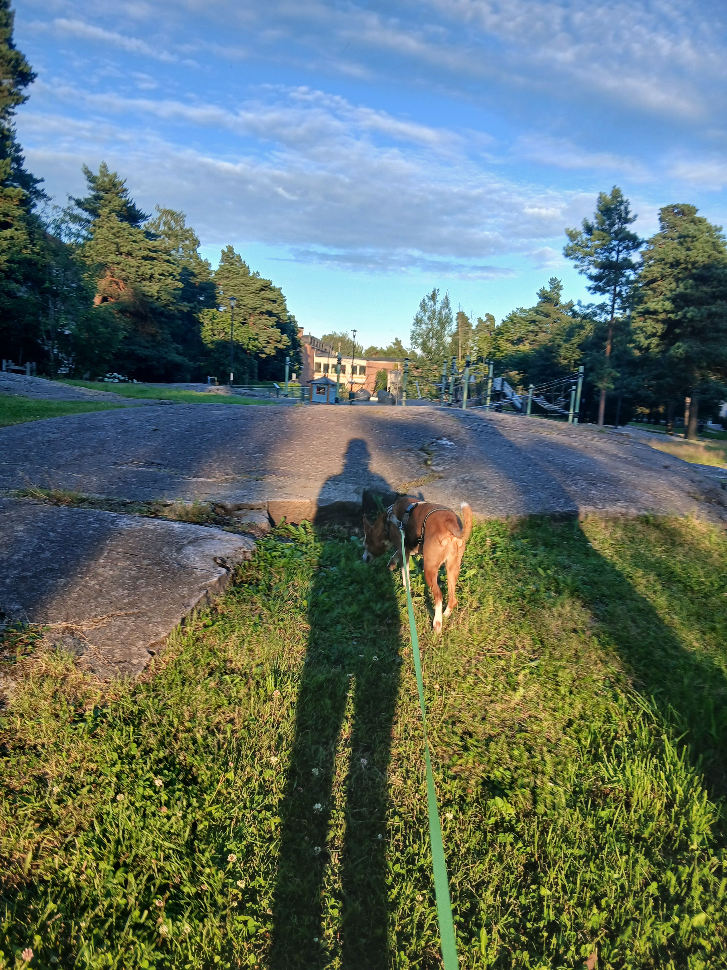 image-15