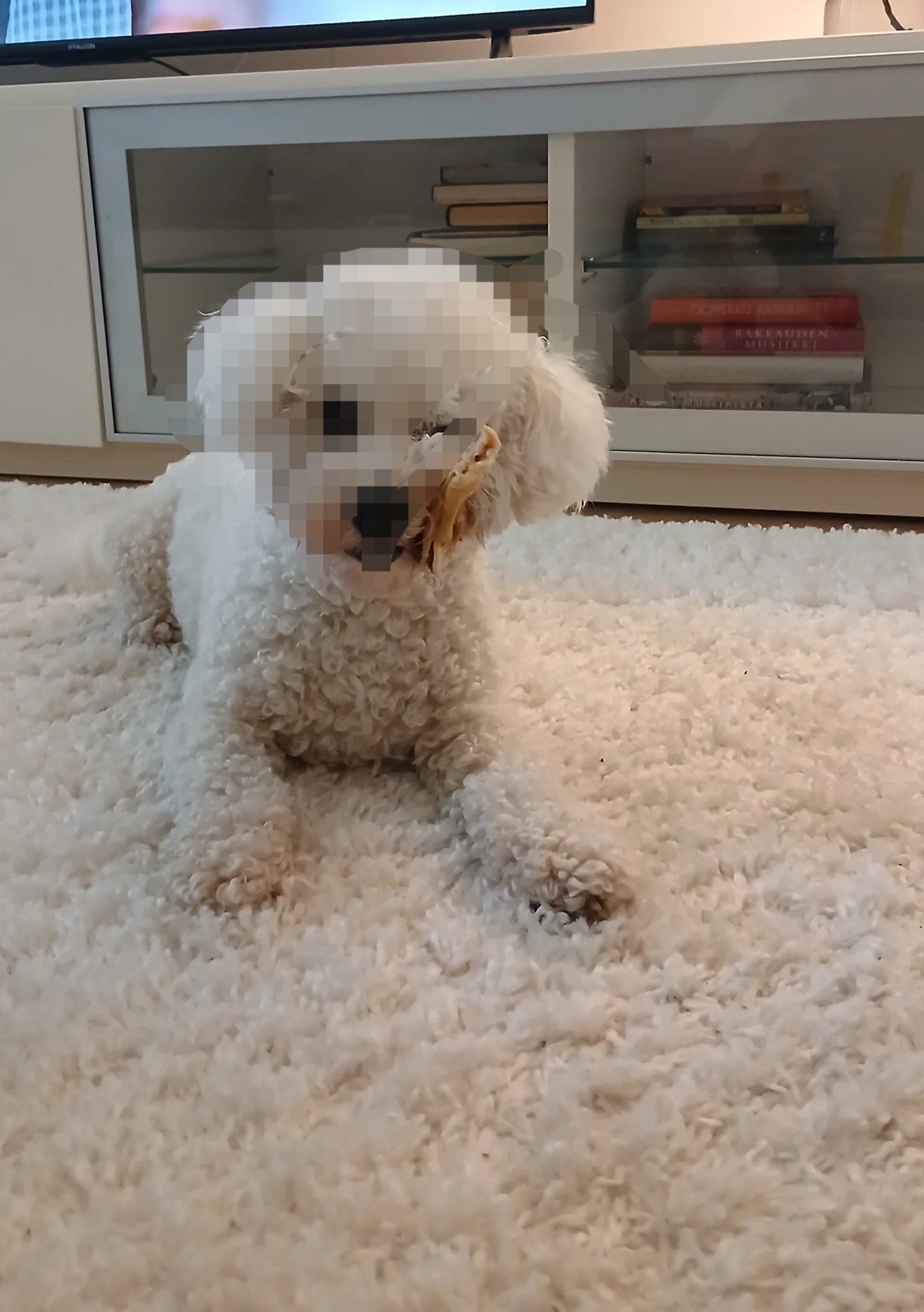 image-4