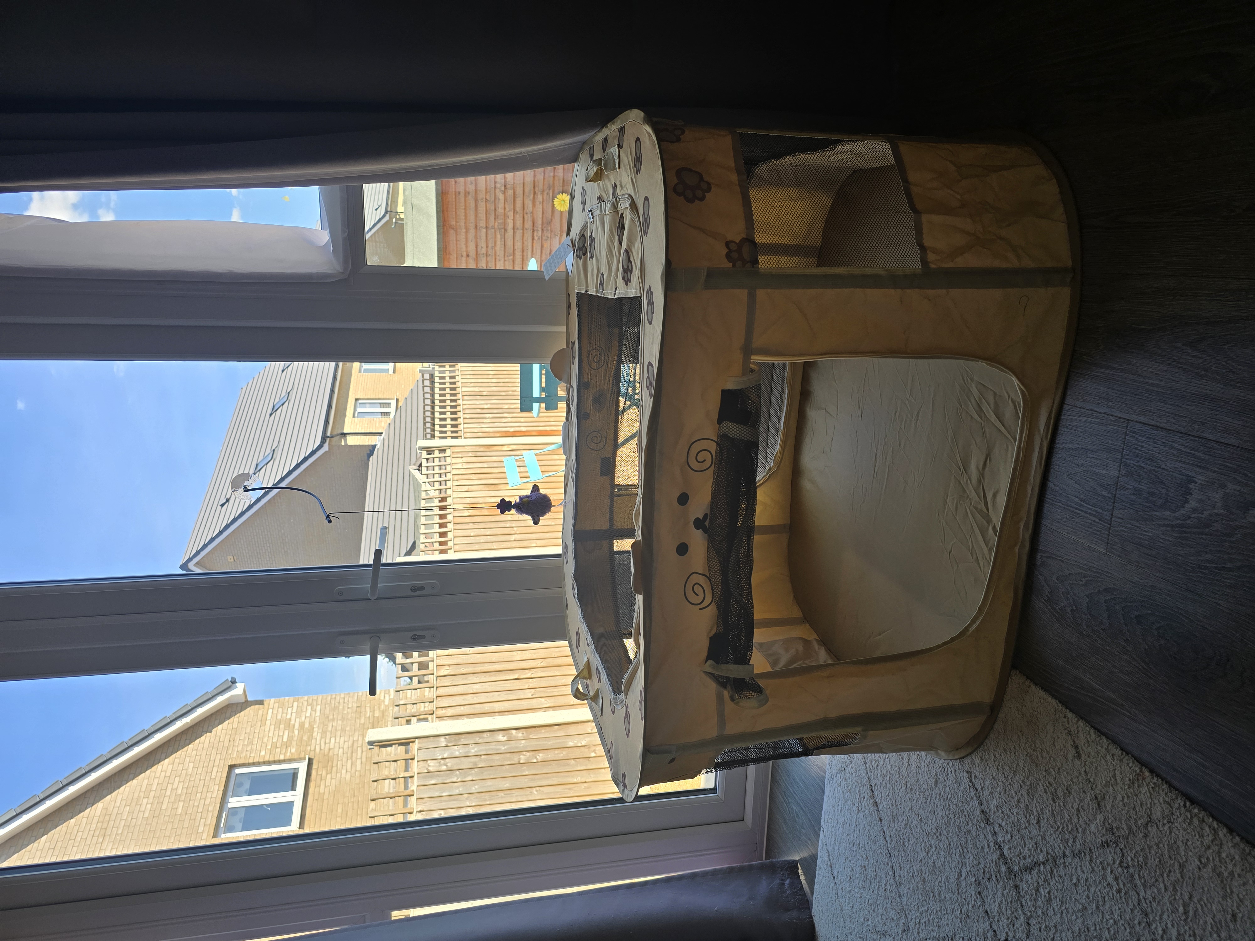 image-2