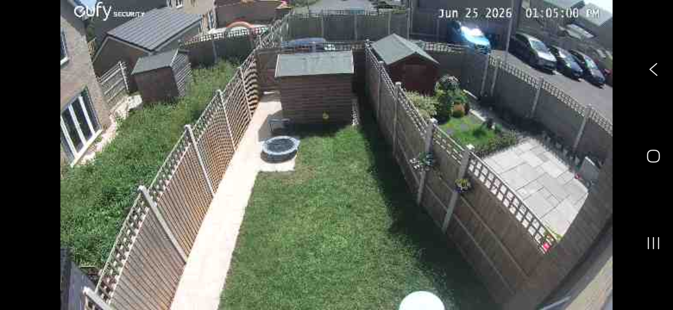 image-7