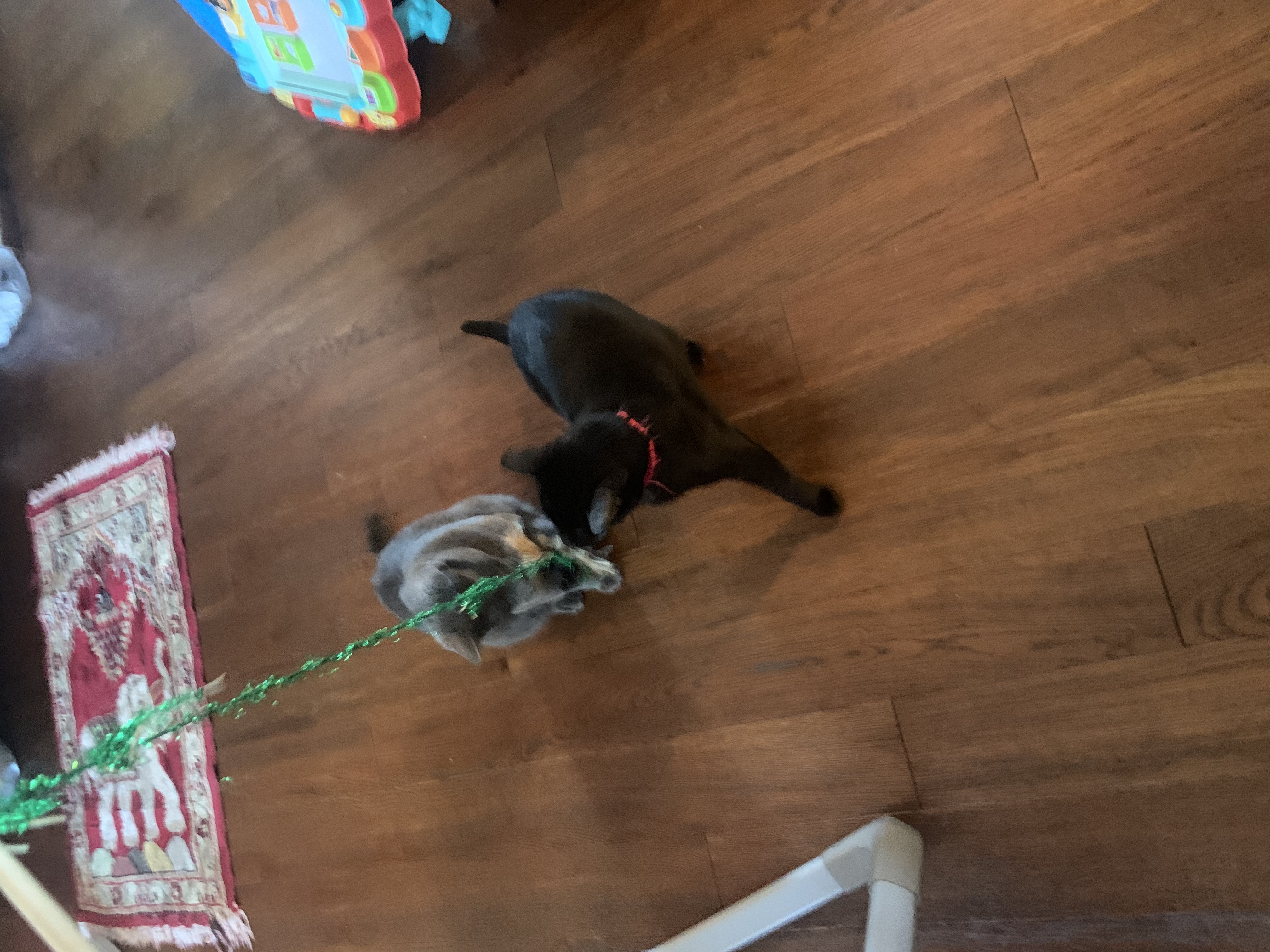 image-17