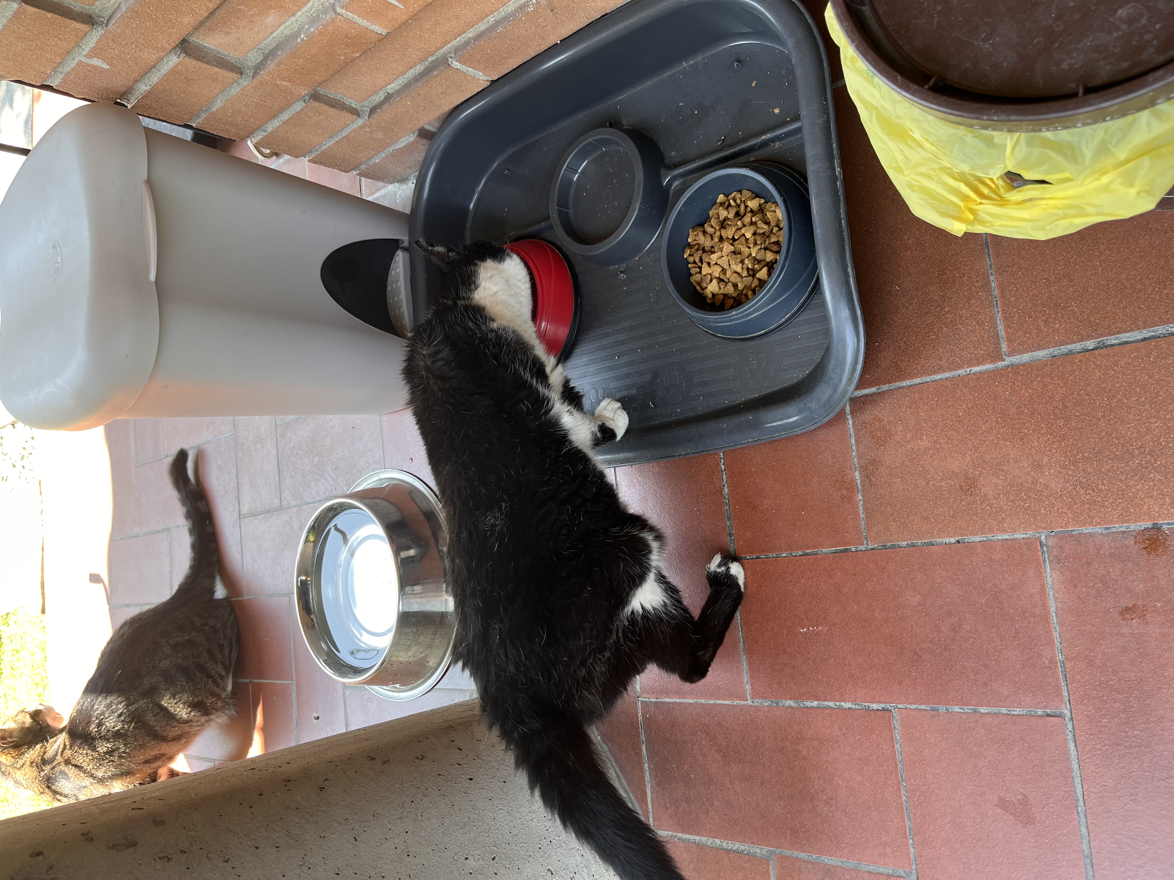 image-16