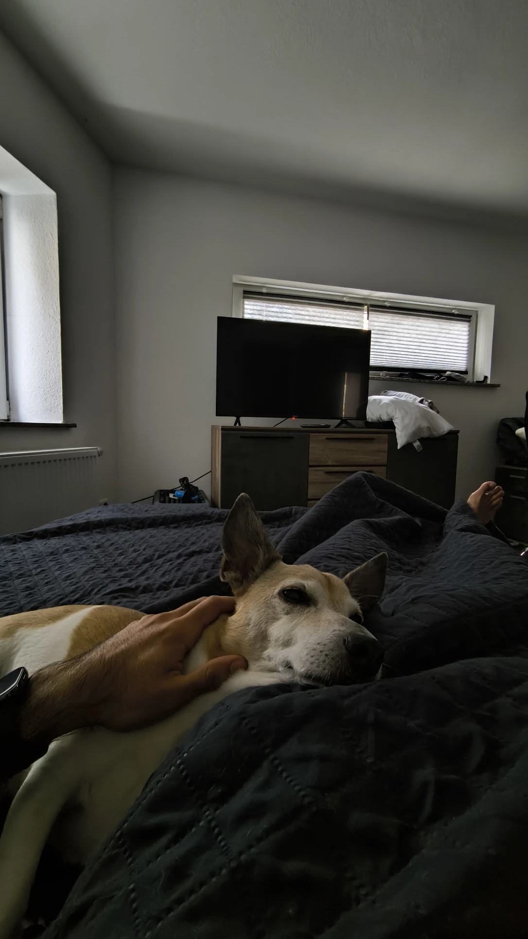 image-19