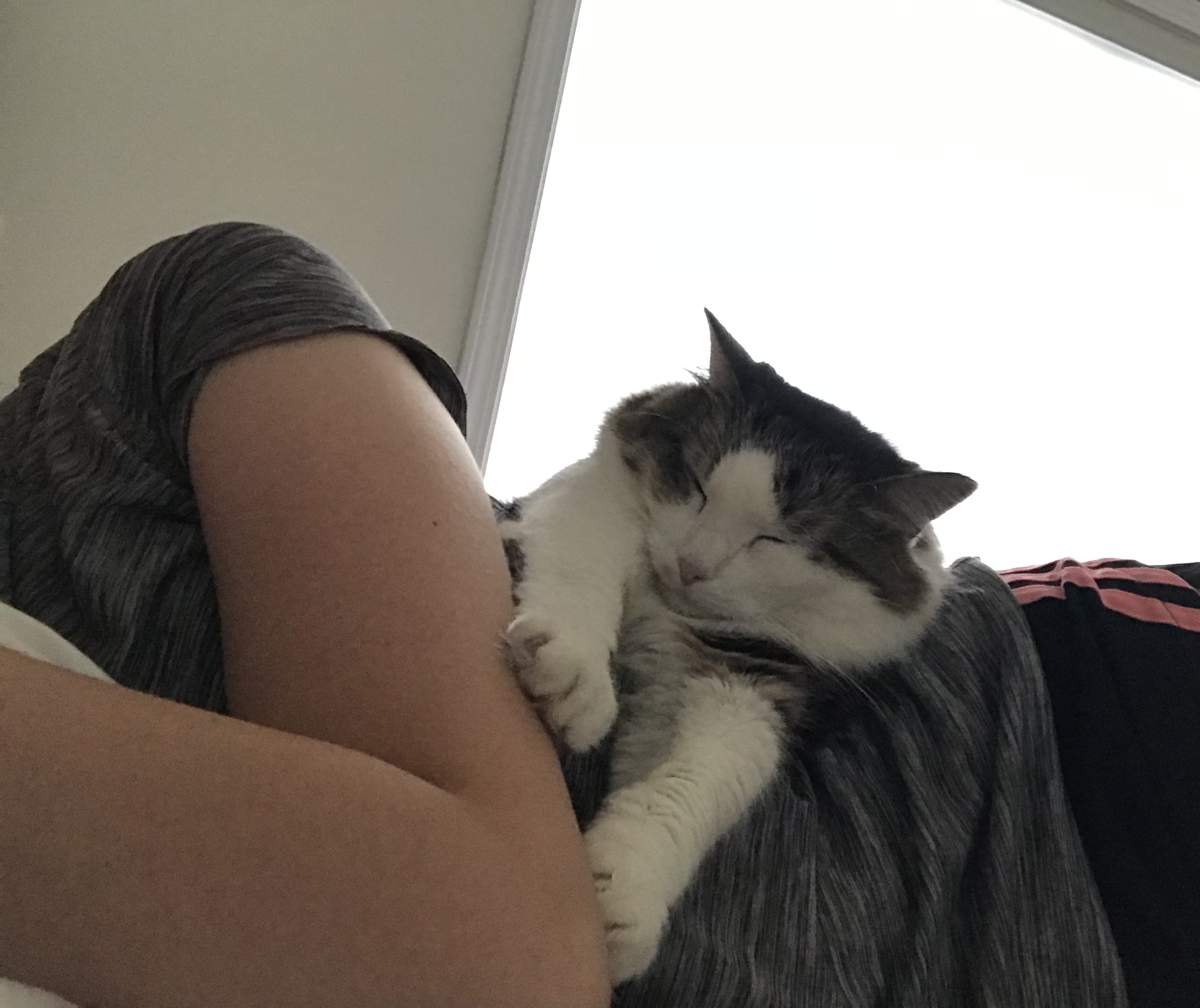 image-7