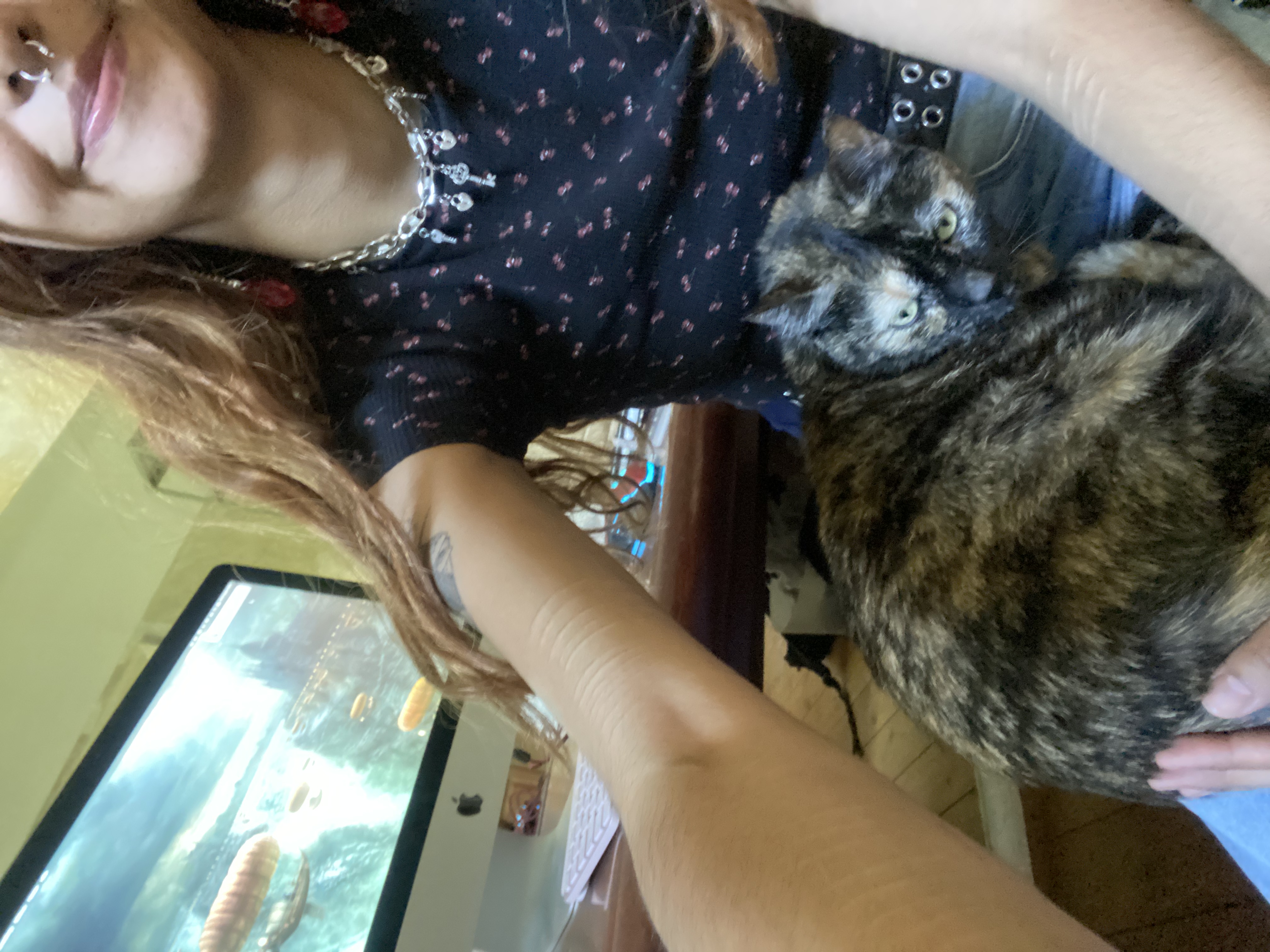 image-13