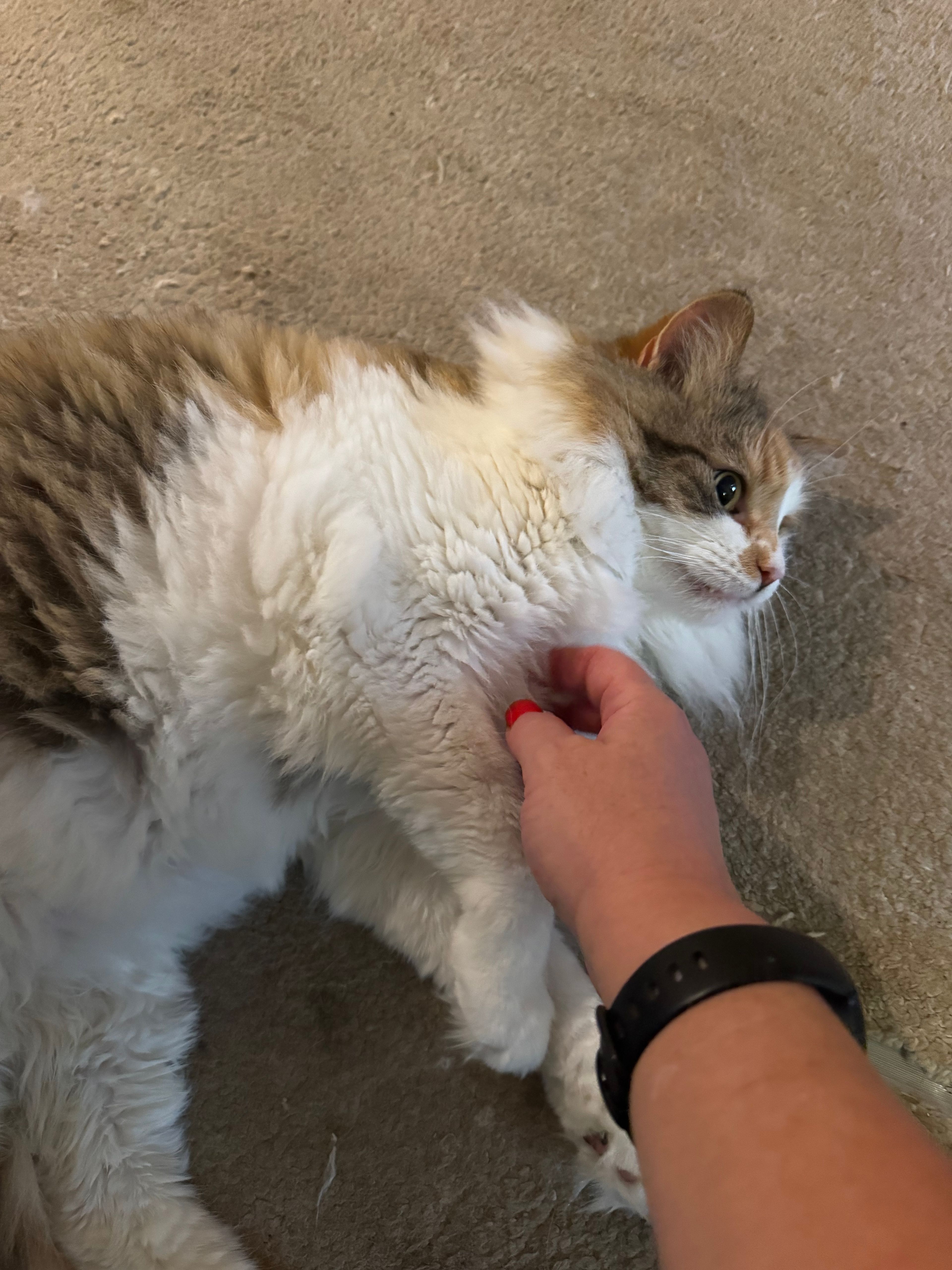 image-10
