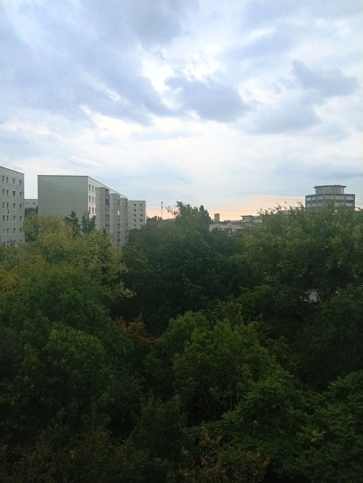 image-8