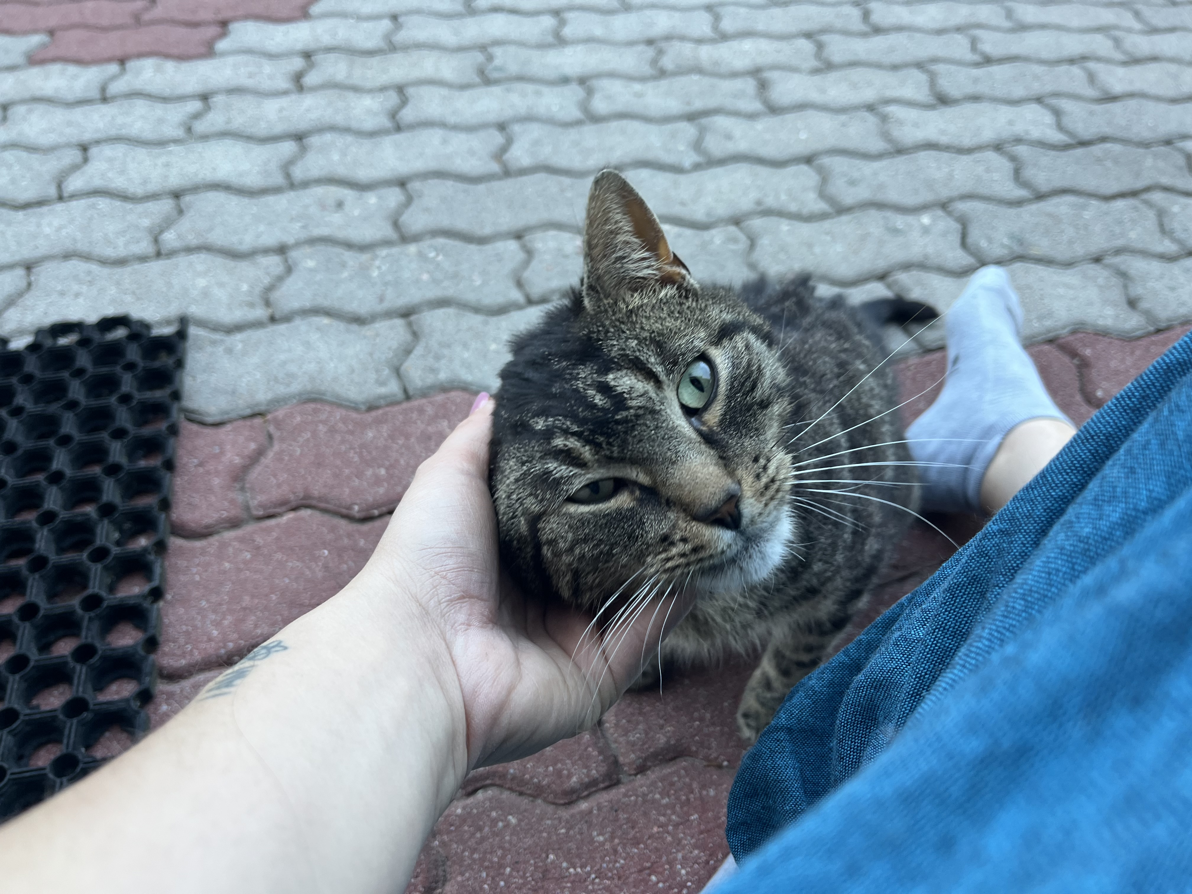 image-8