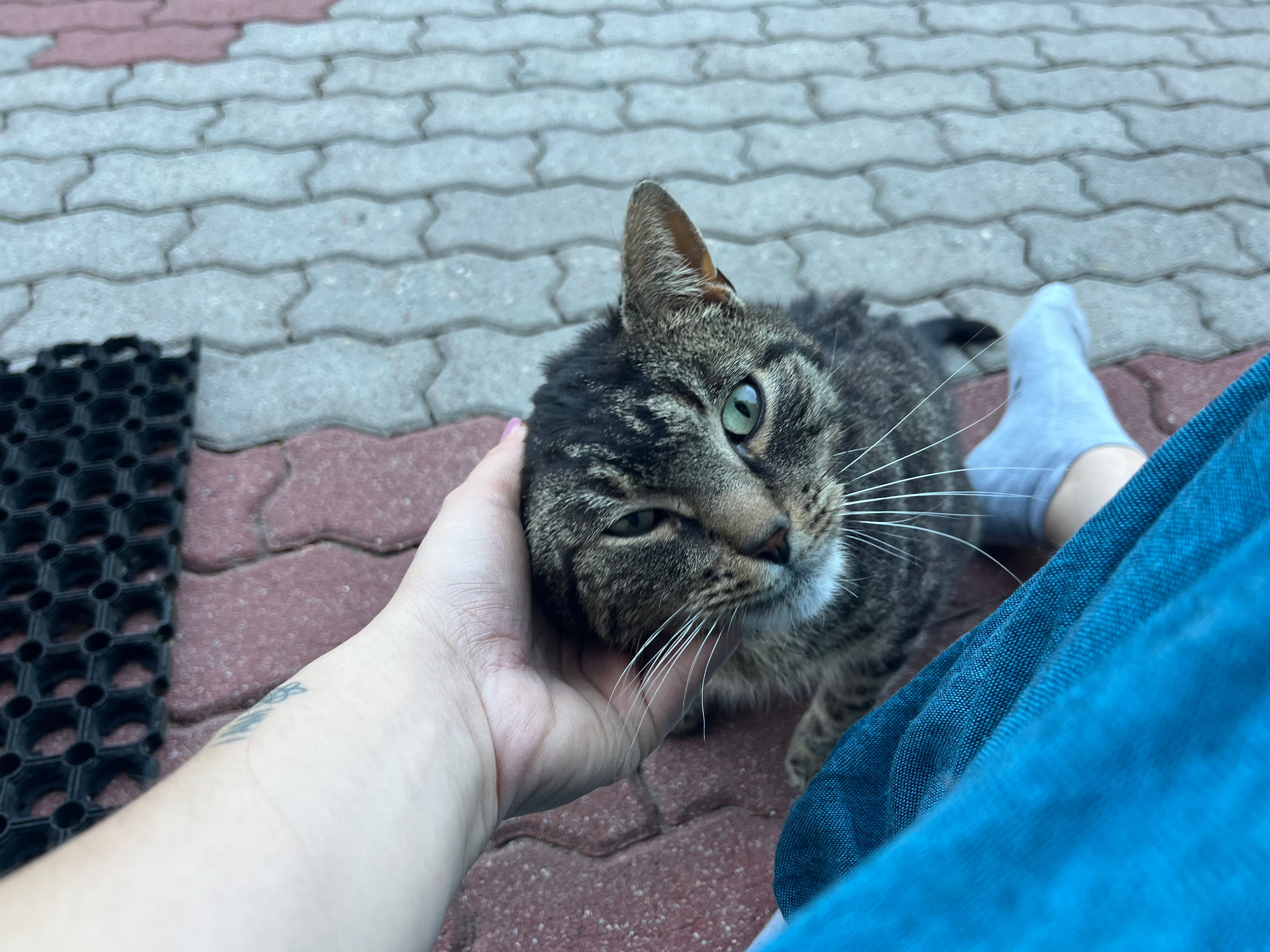 image-8