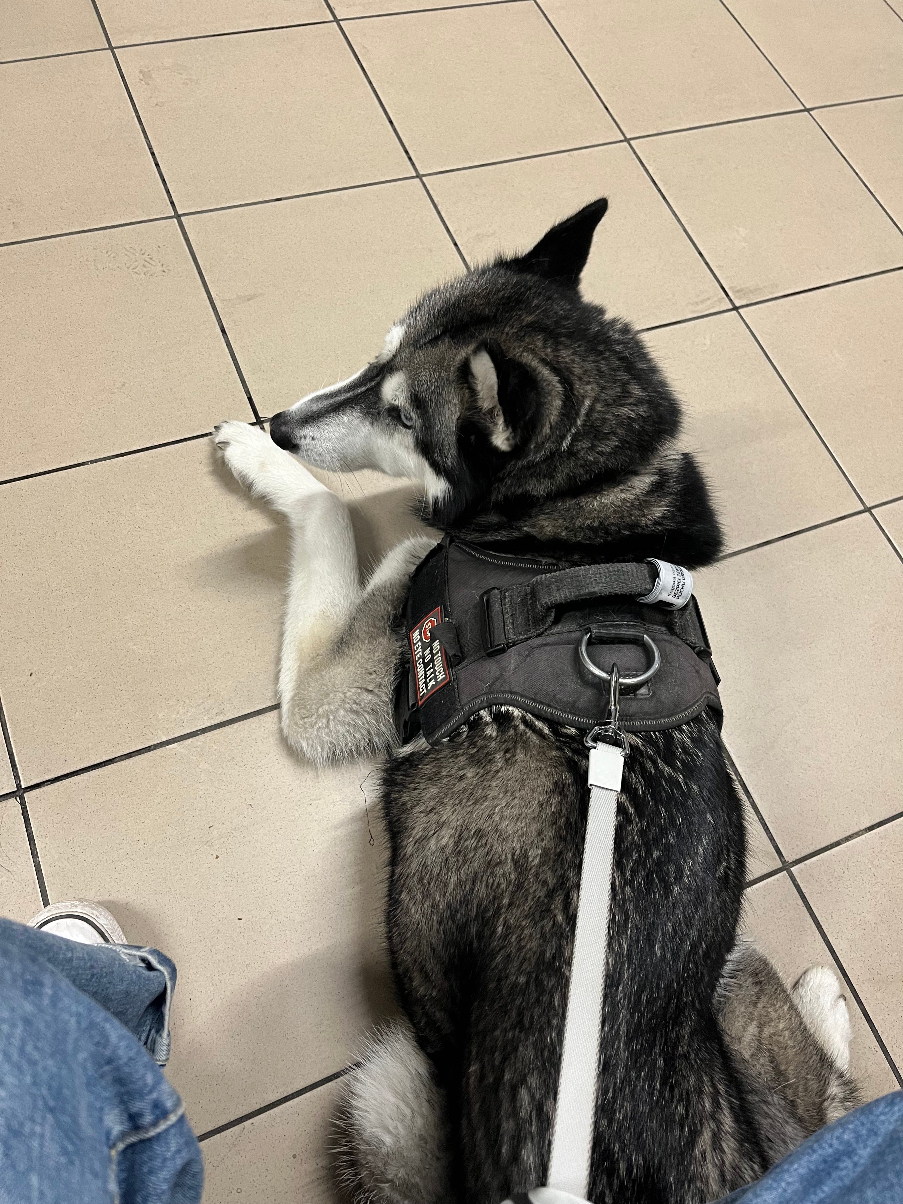 image-12