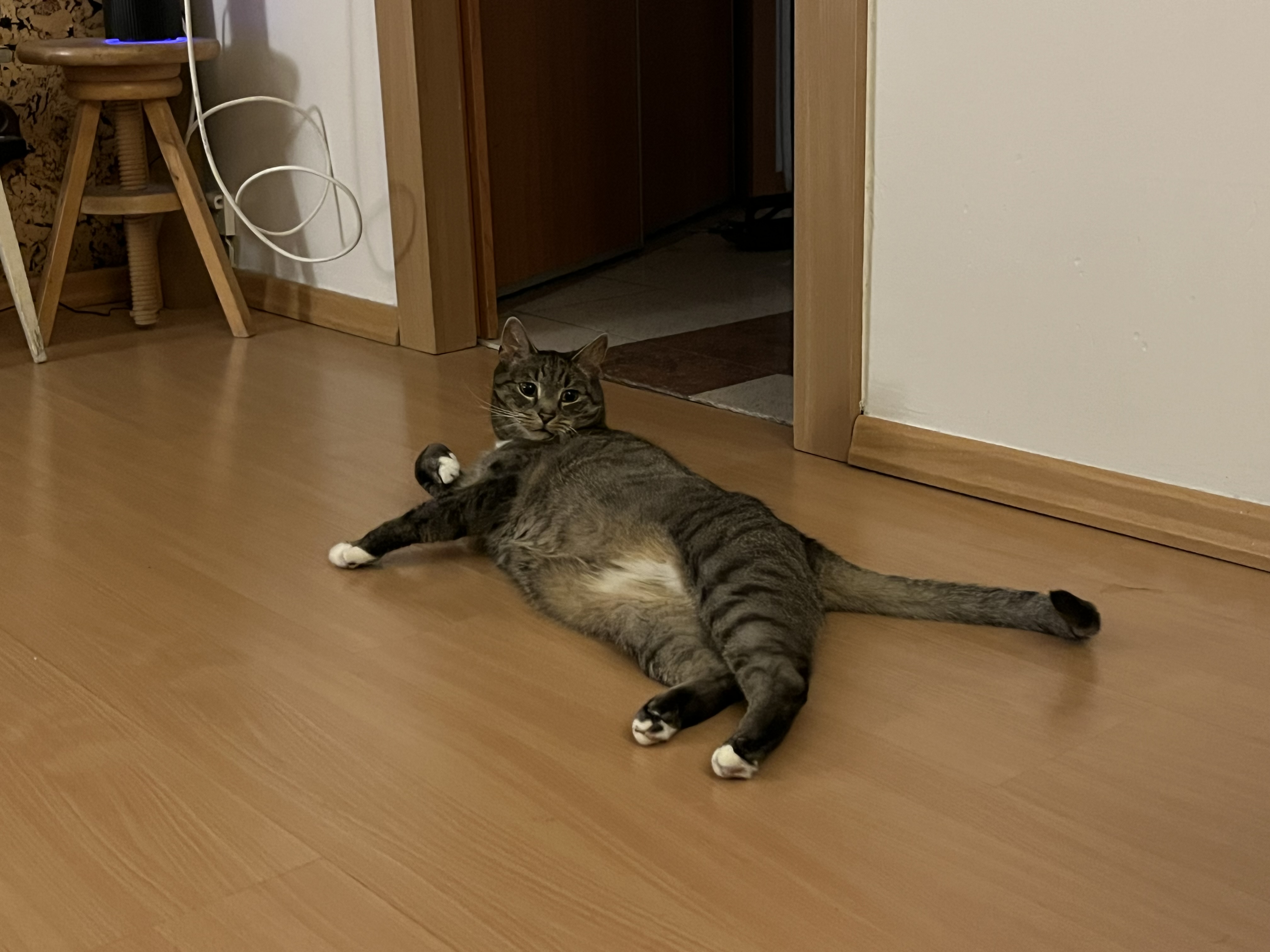 image-15