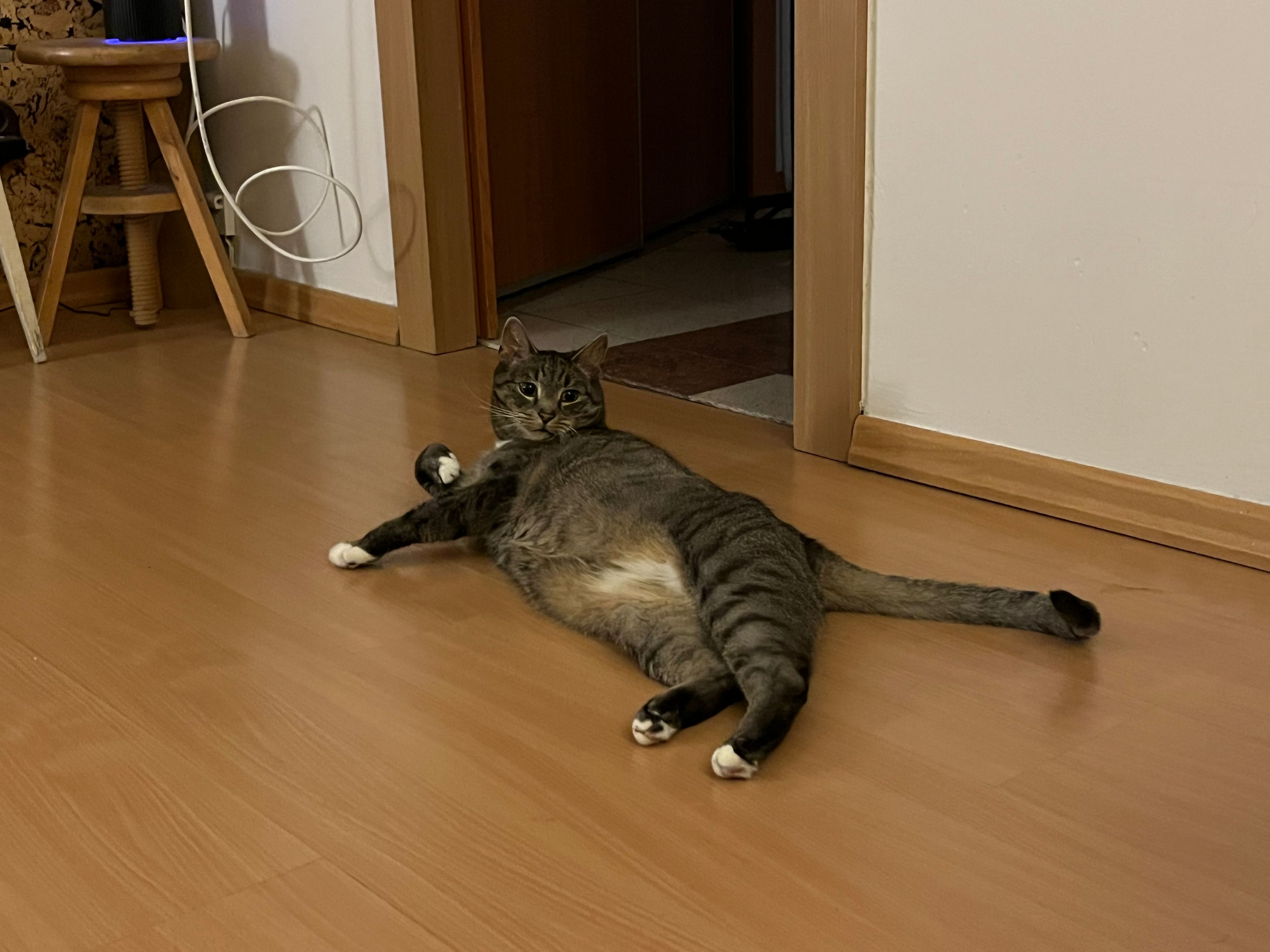 image-15
