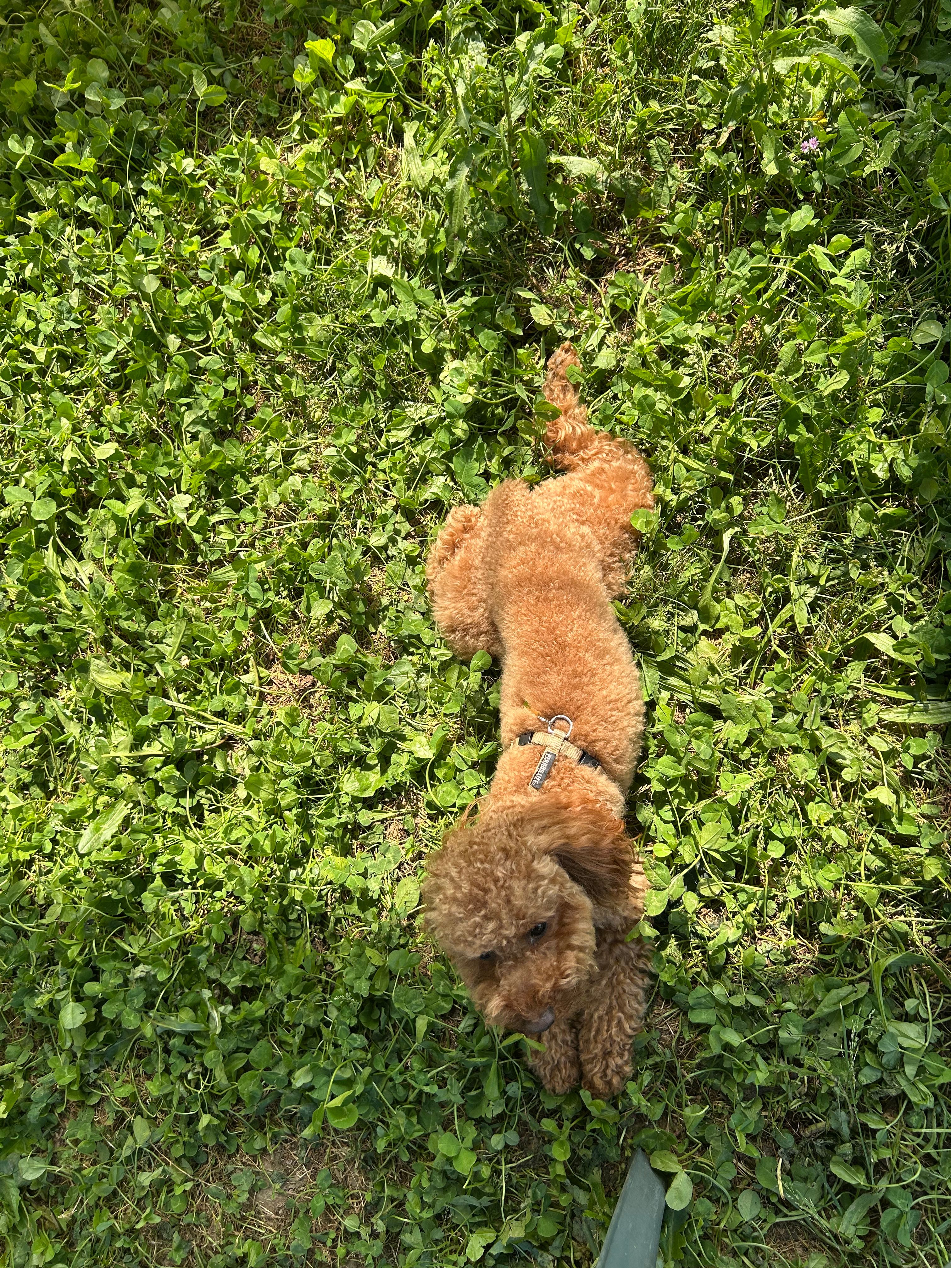 image-8