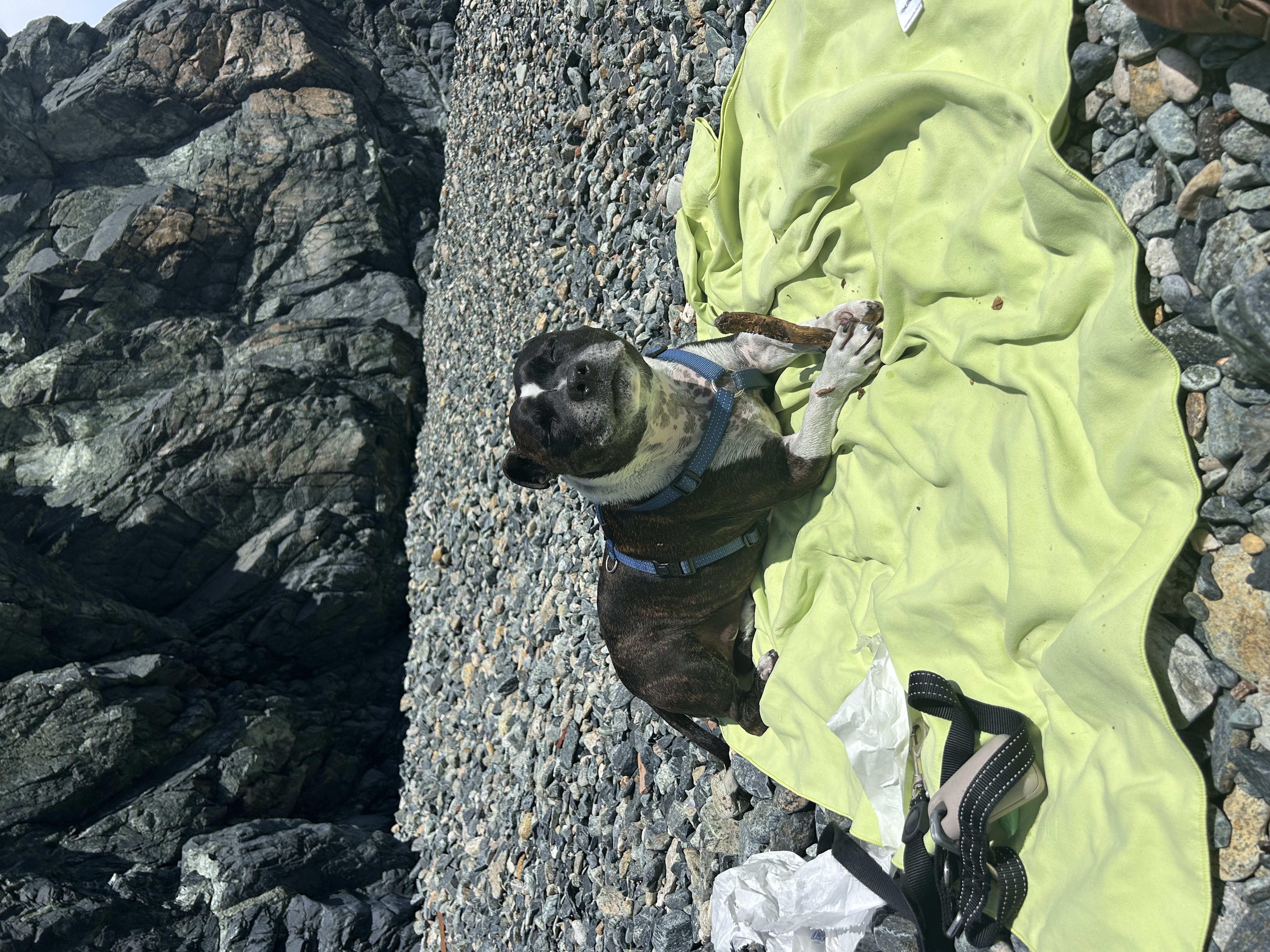 image-4