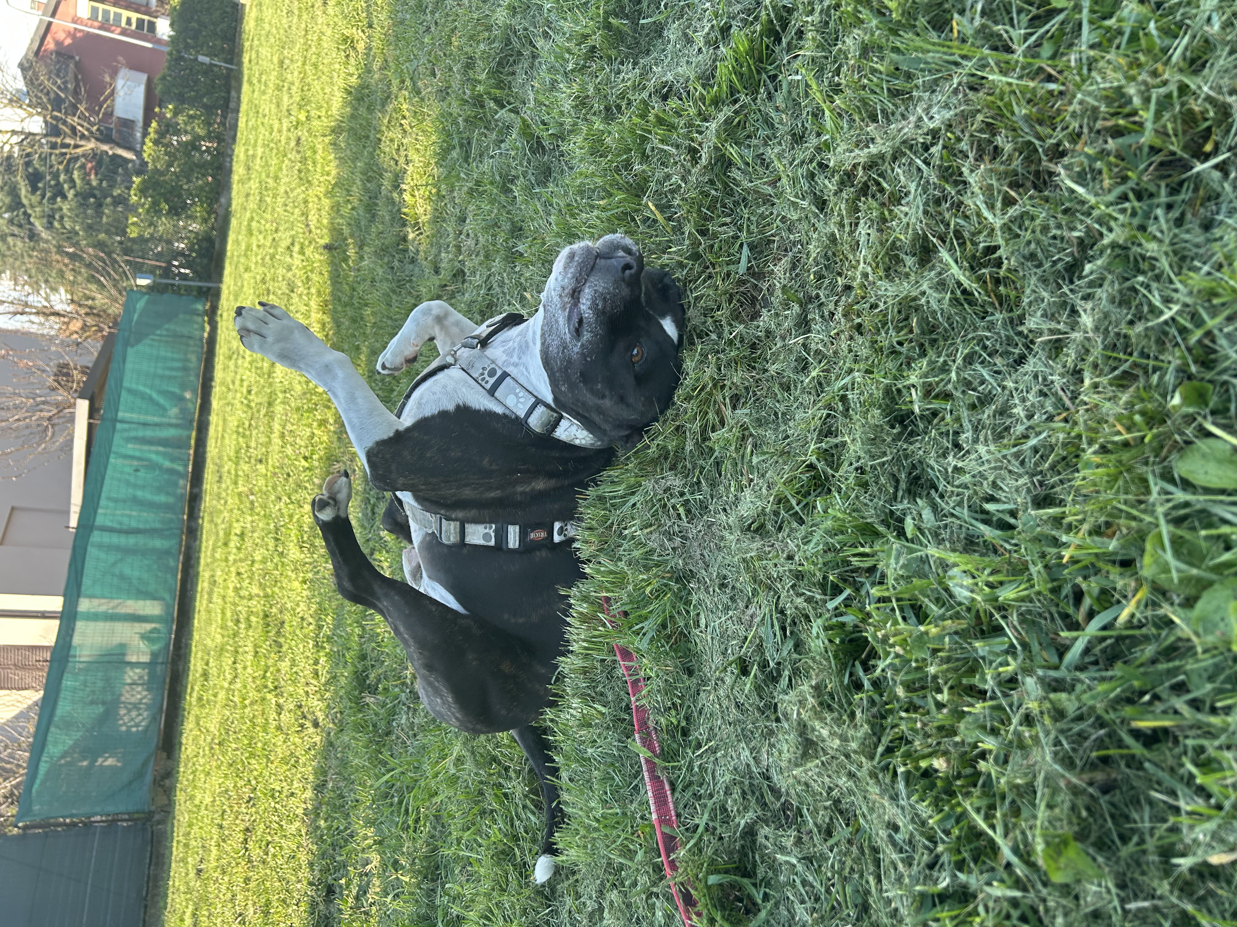 image-6