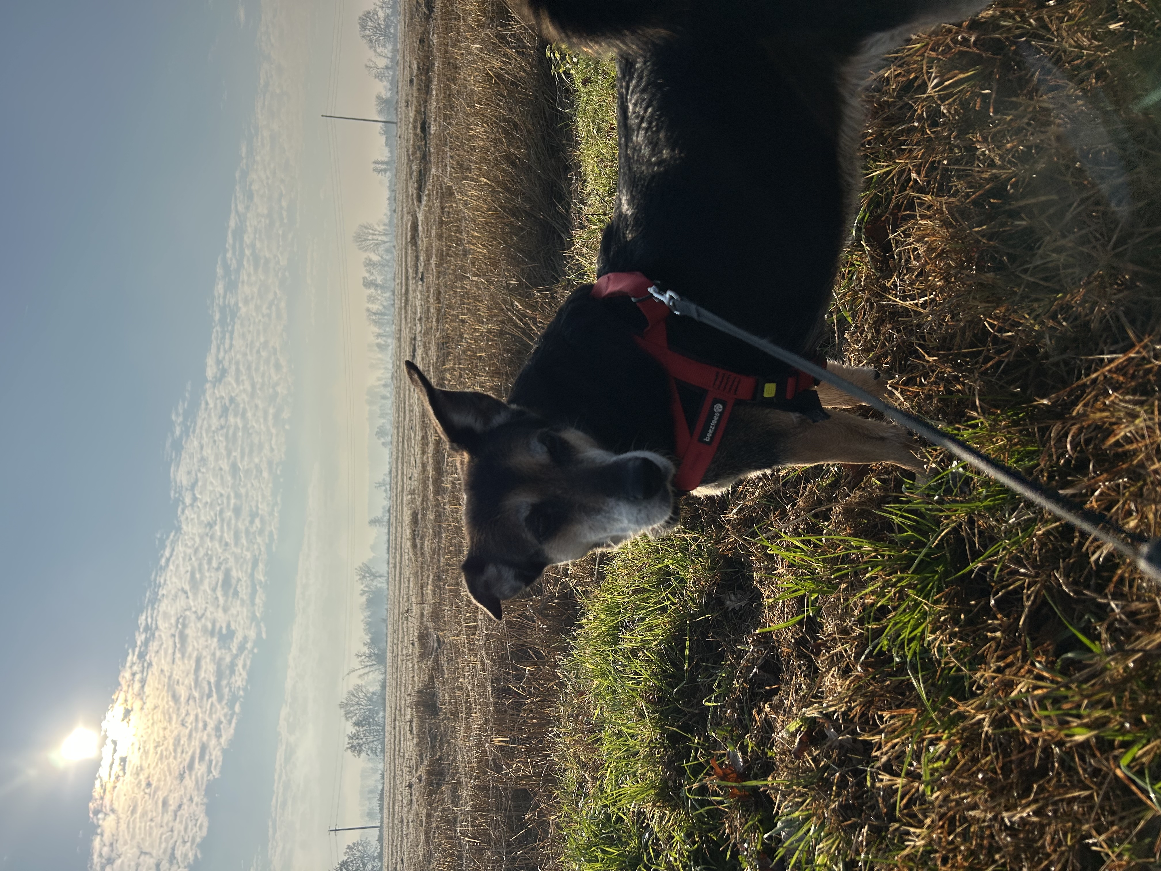 image-14