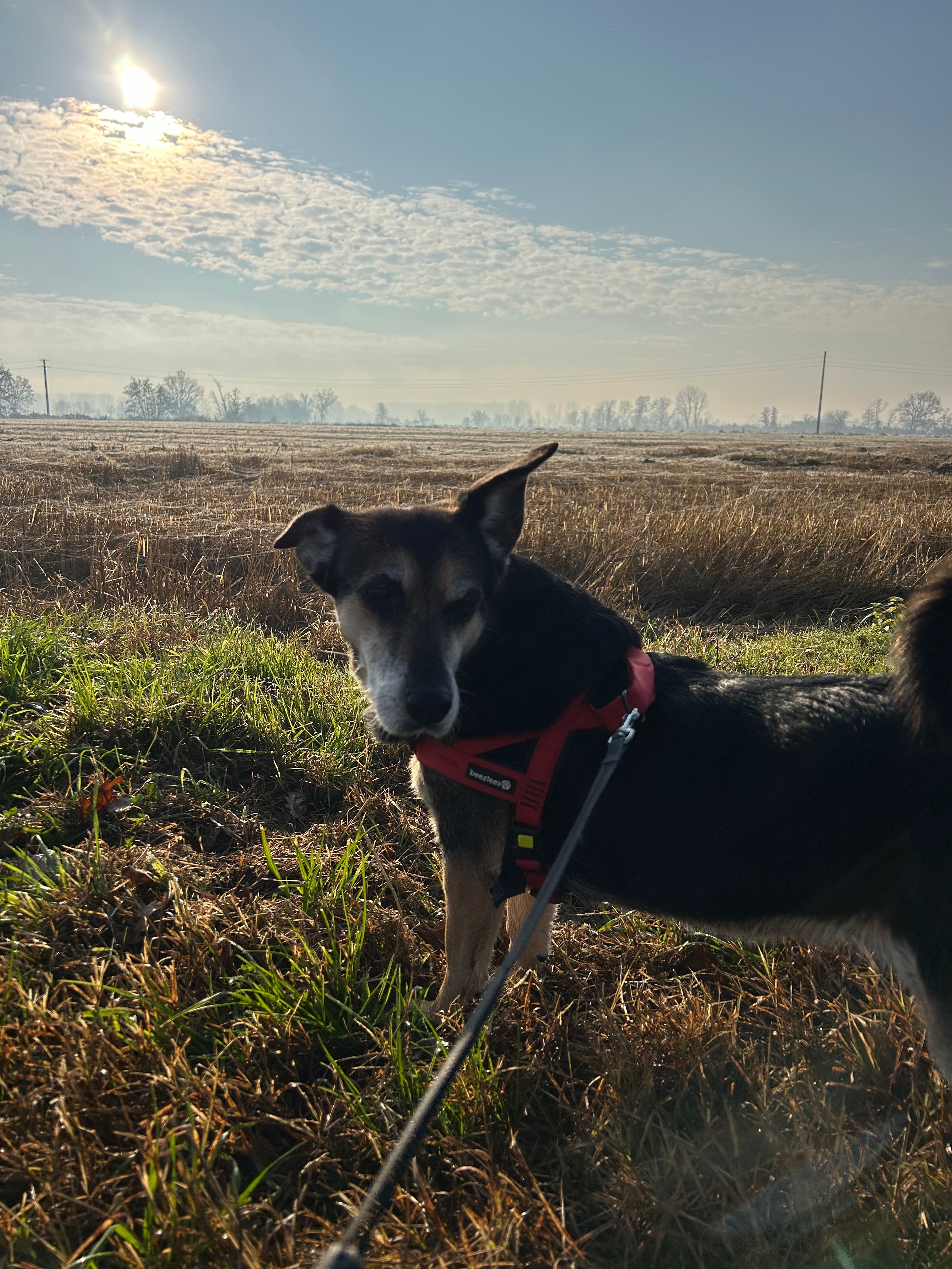 image-14