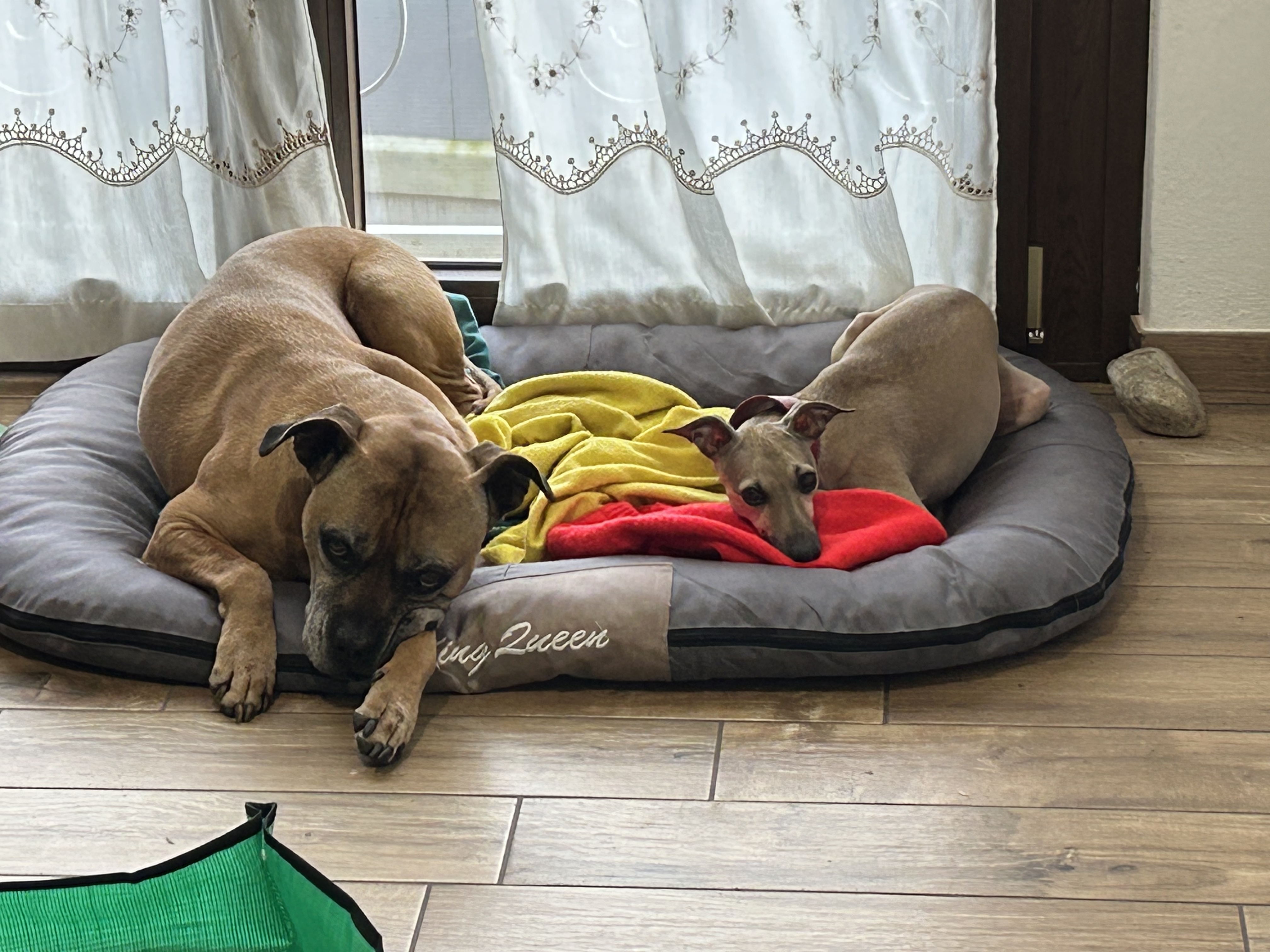 image-28