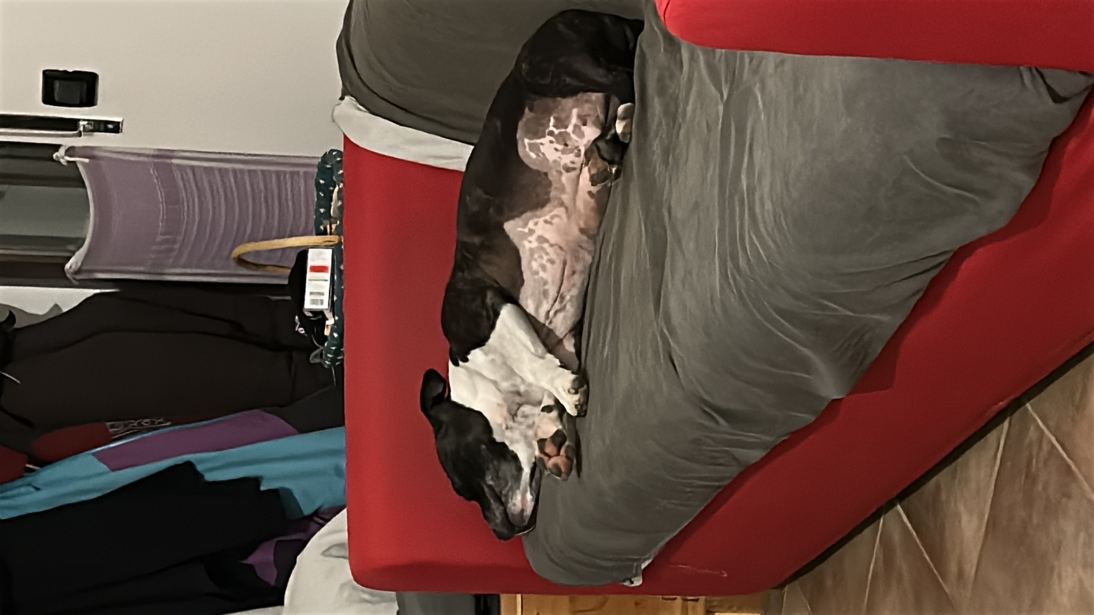 image-18
