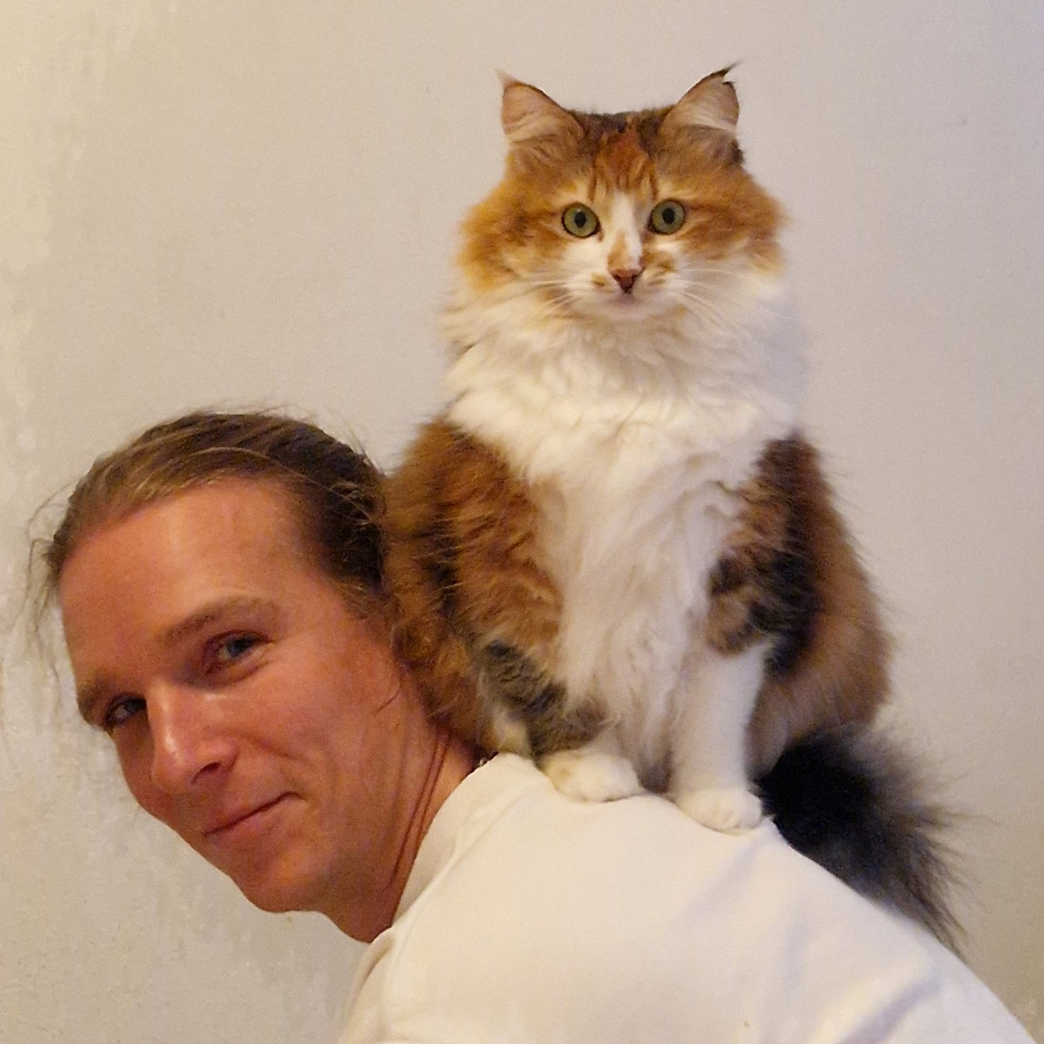 Ilja