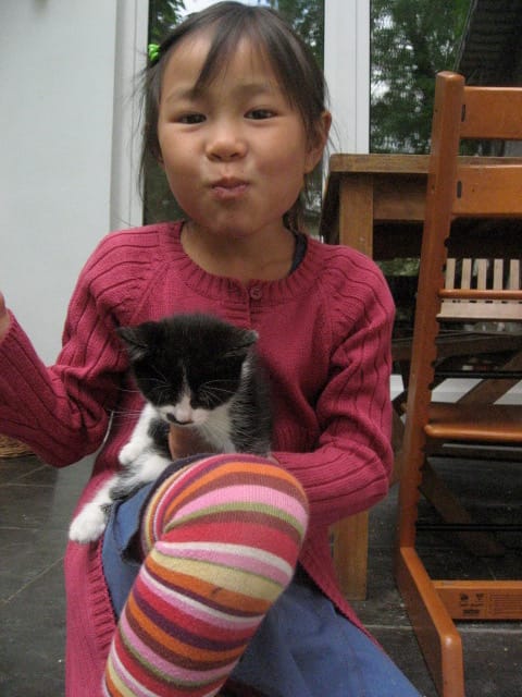 image-9