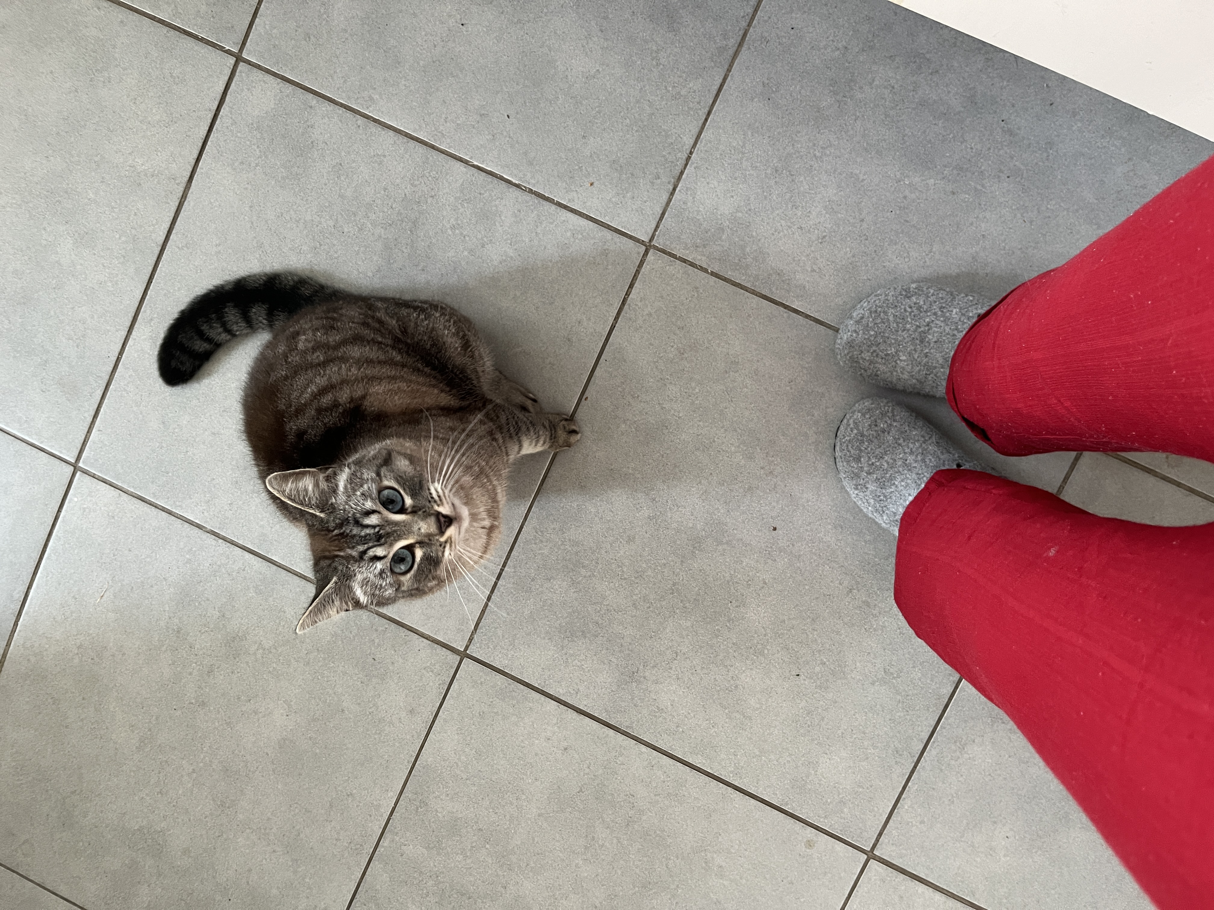 image-8