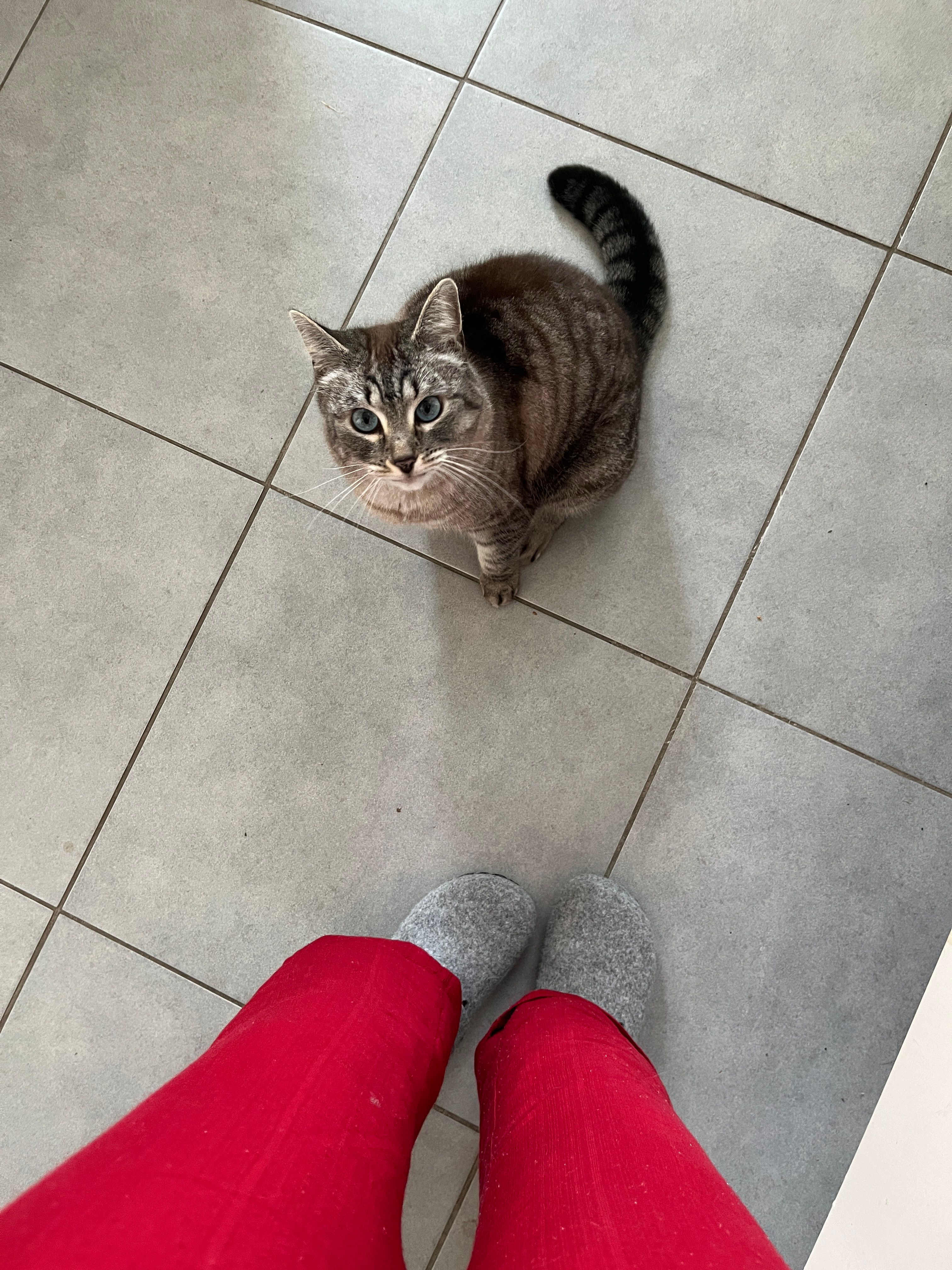 image-8