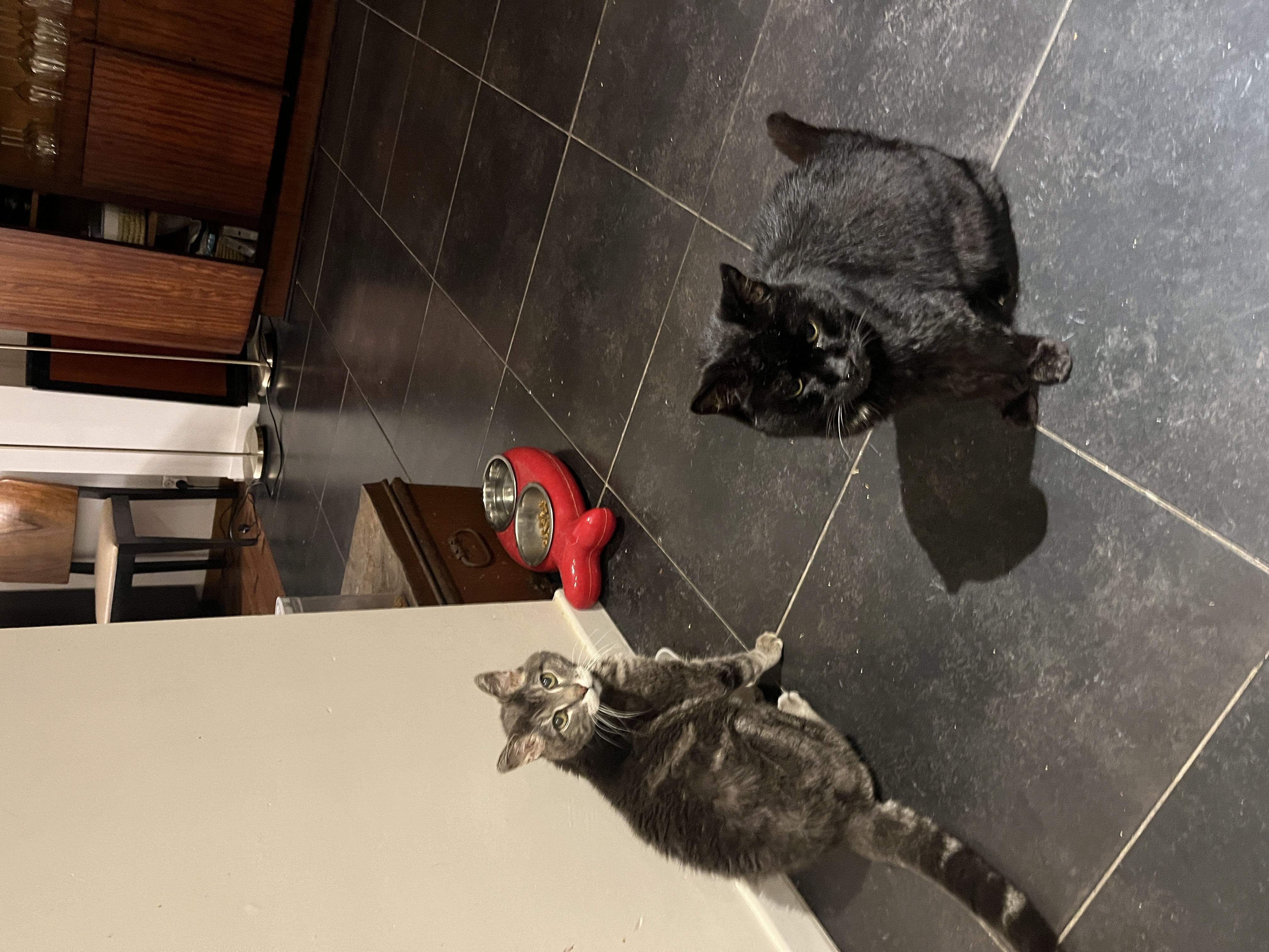image-7