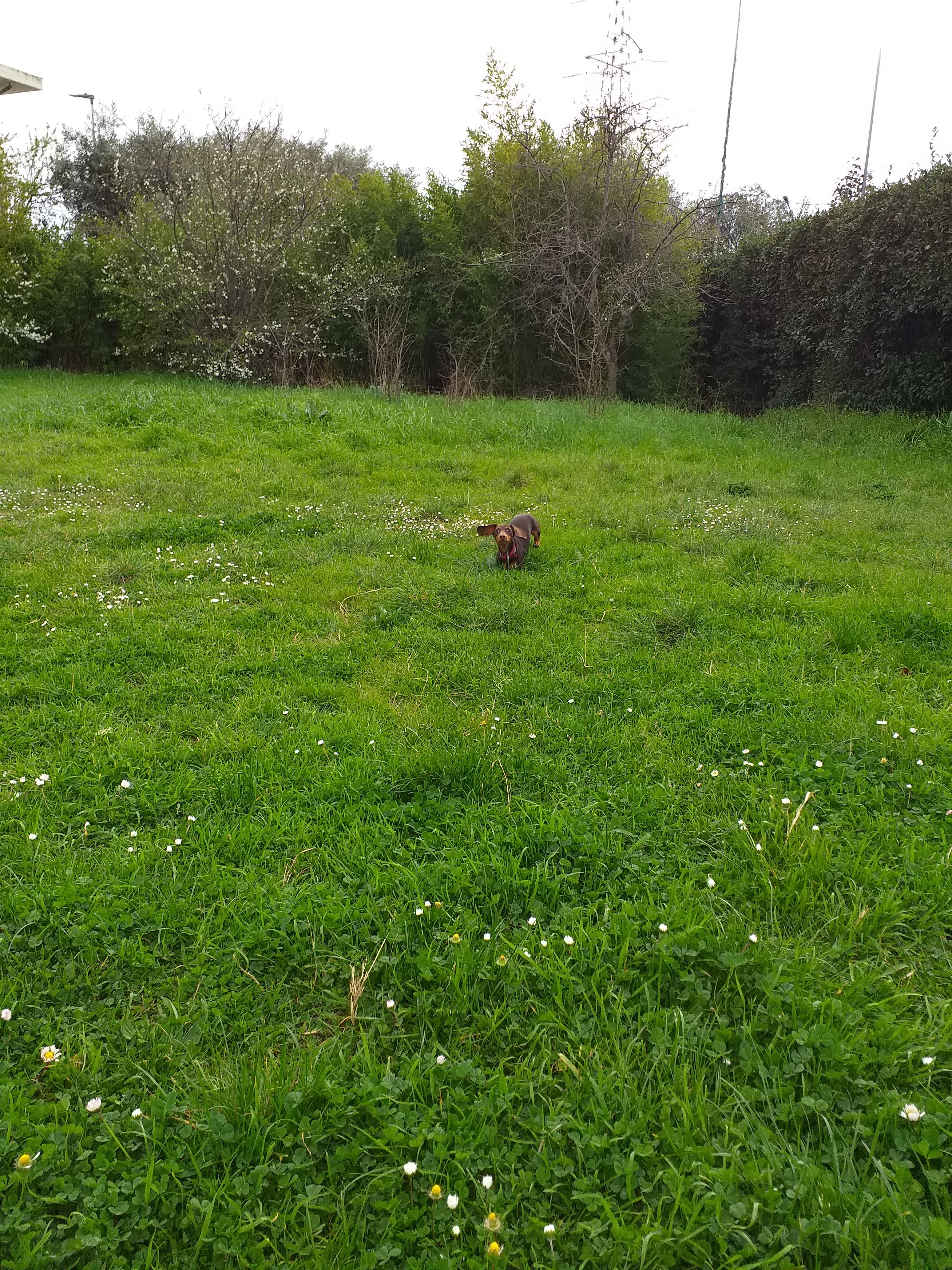 image-5