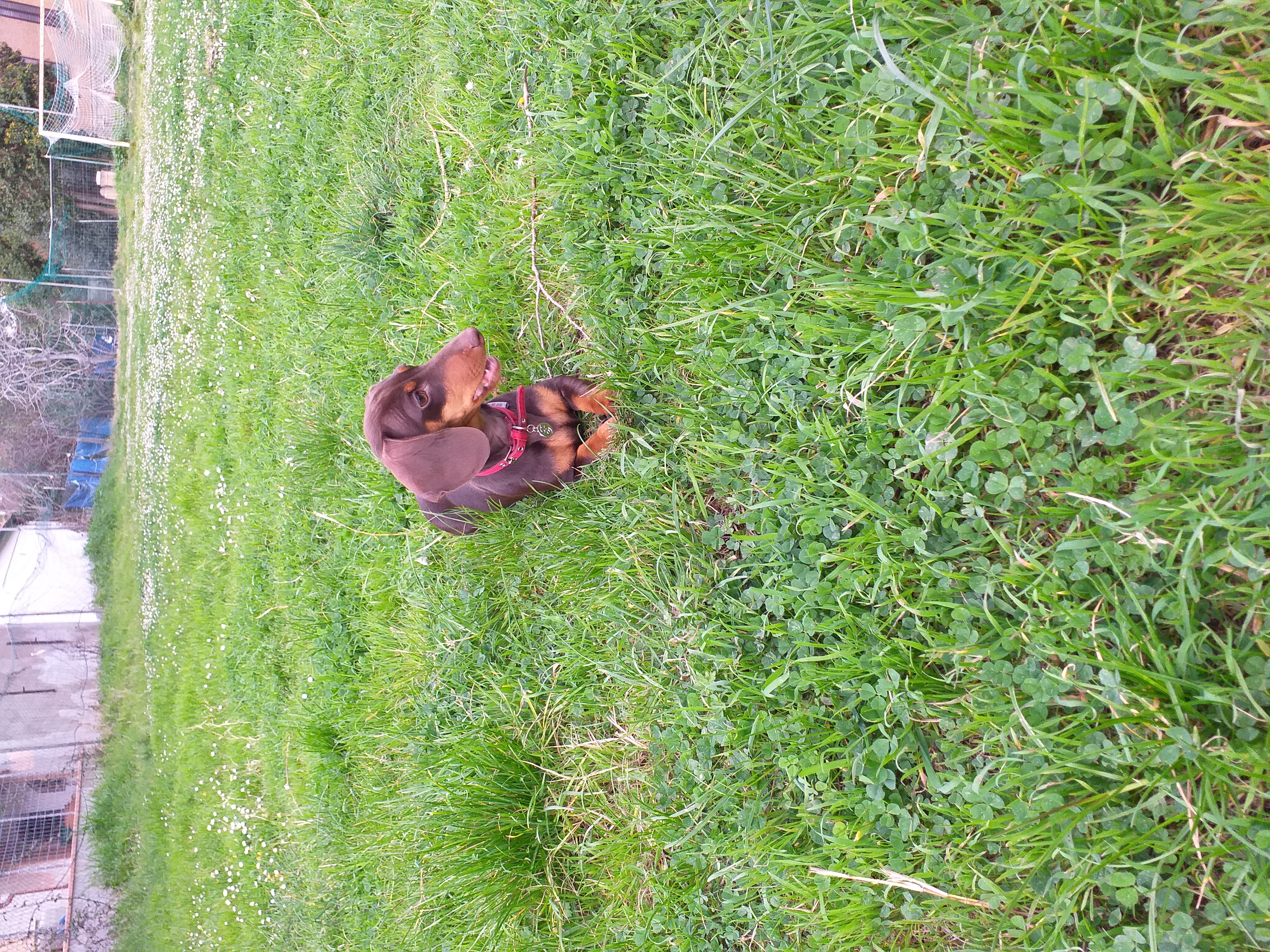 image-8