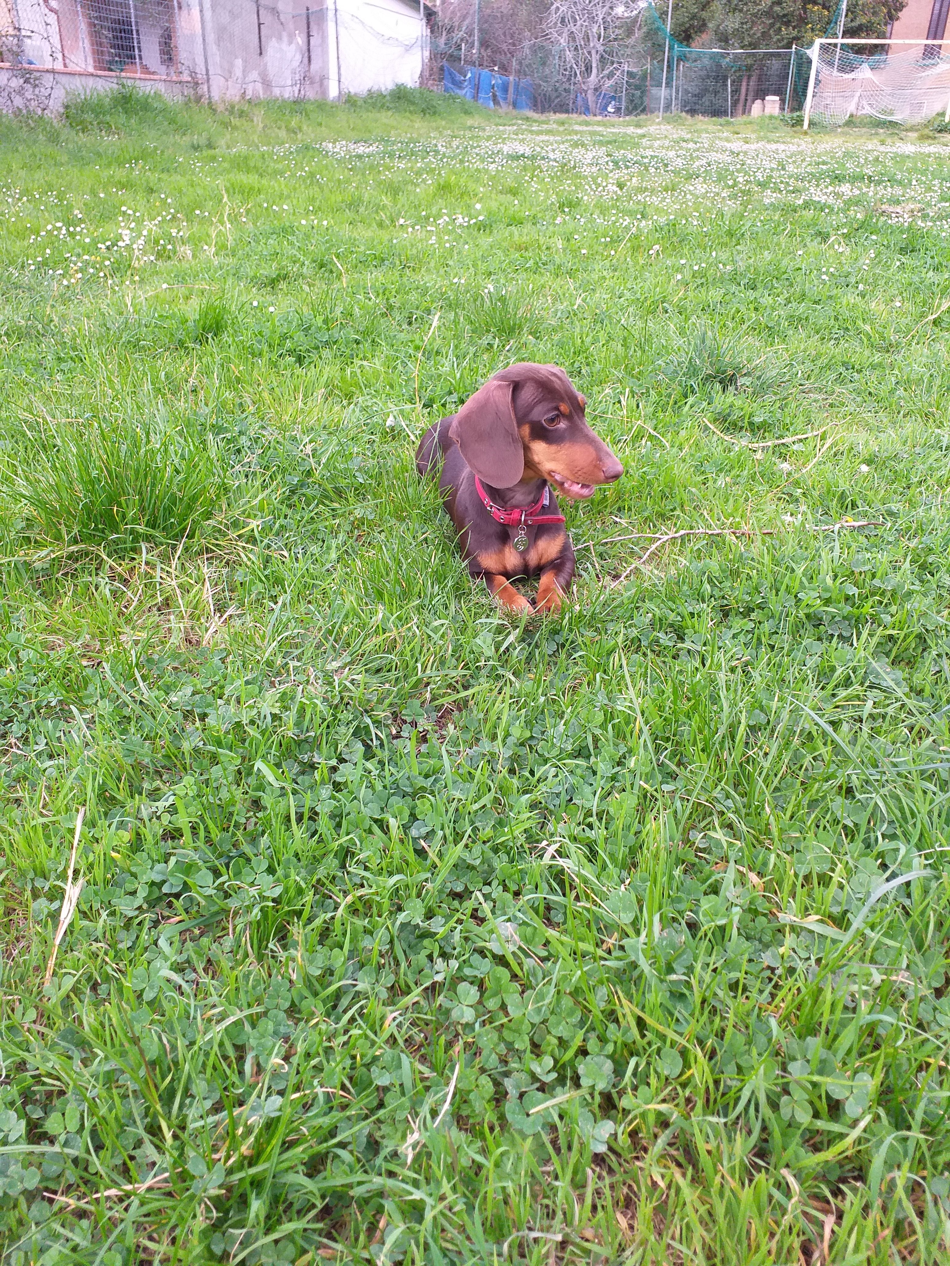 image-8