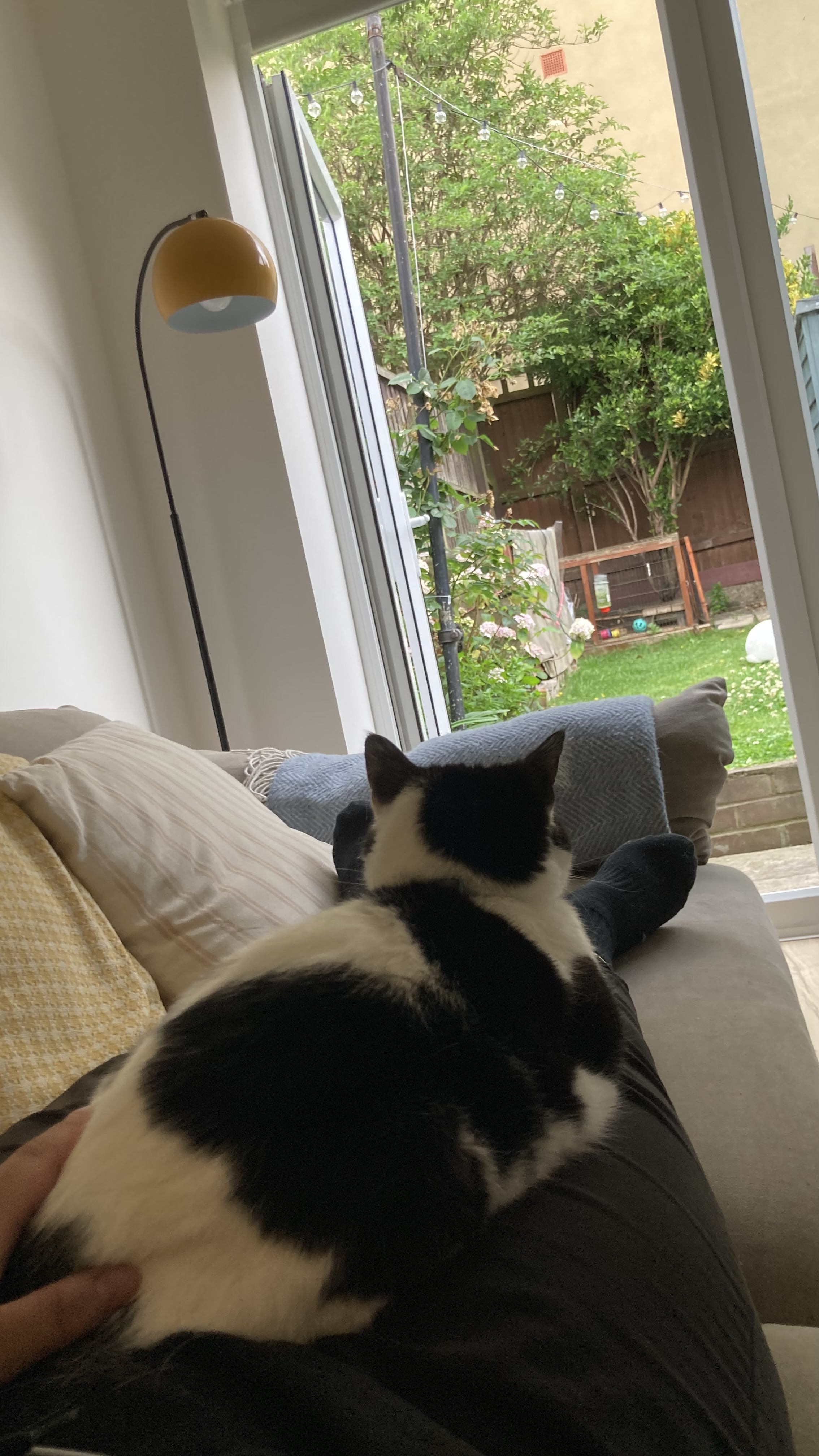 image-12