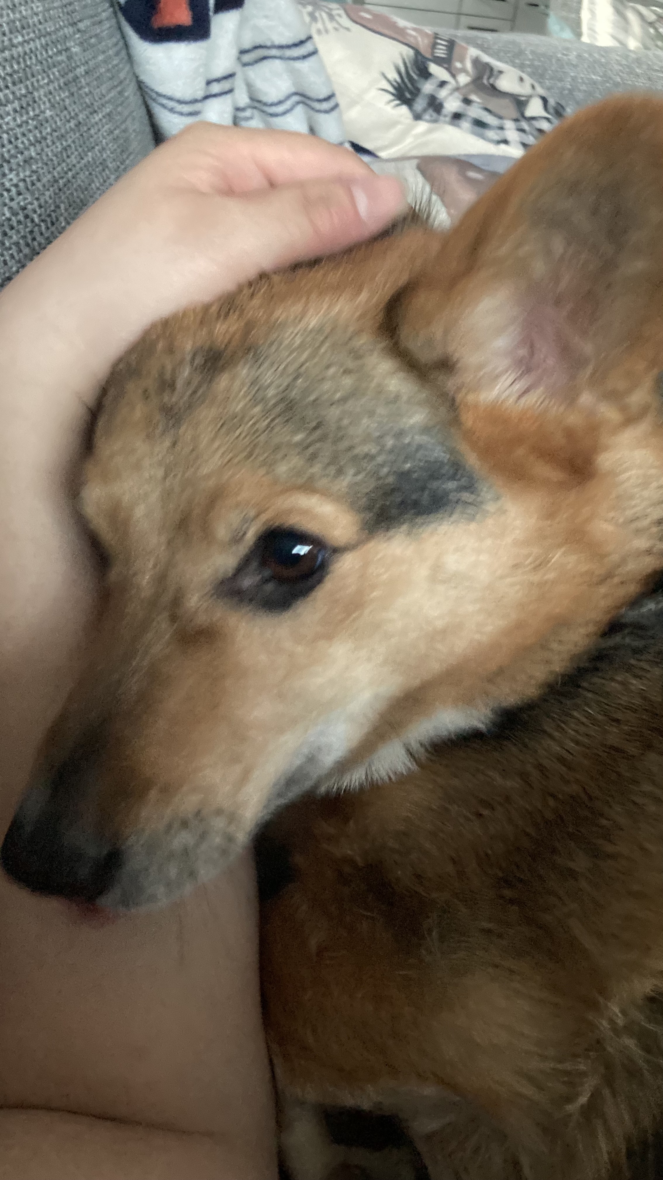 image-10