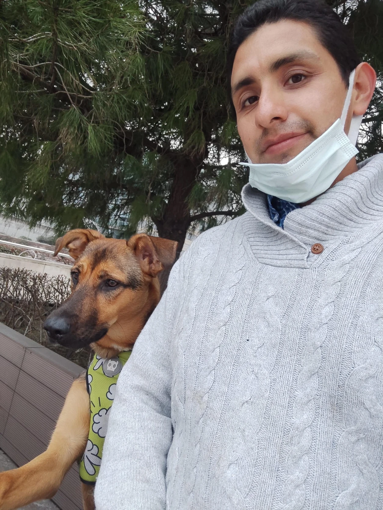 image-11